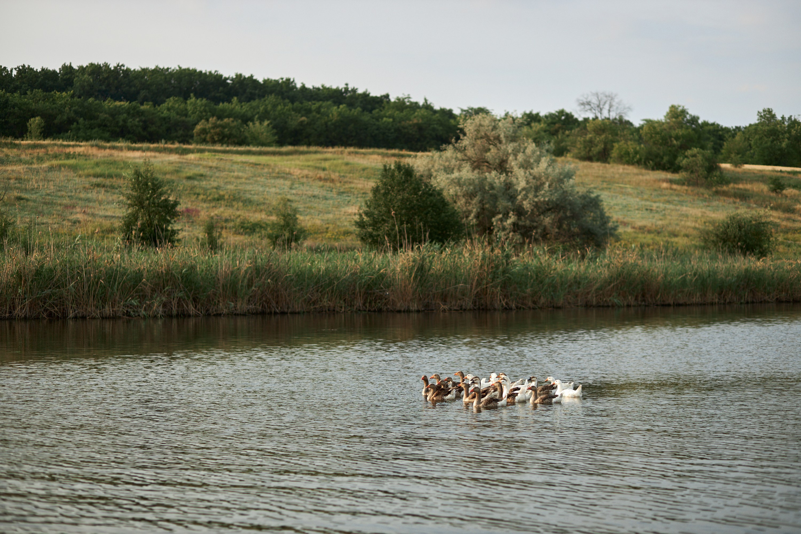 MYKYTA & KATERYNA. PODDUBNYAK ANDREY PHOTOGRAPHER
