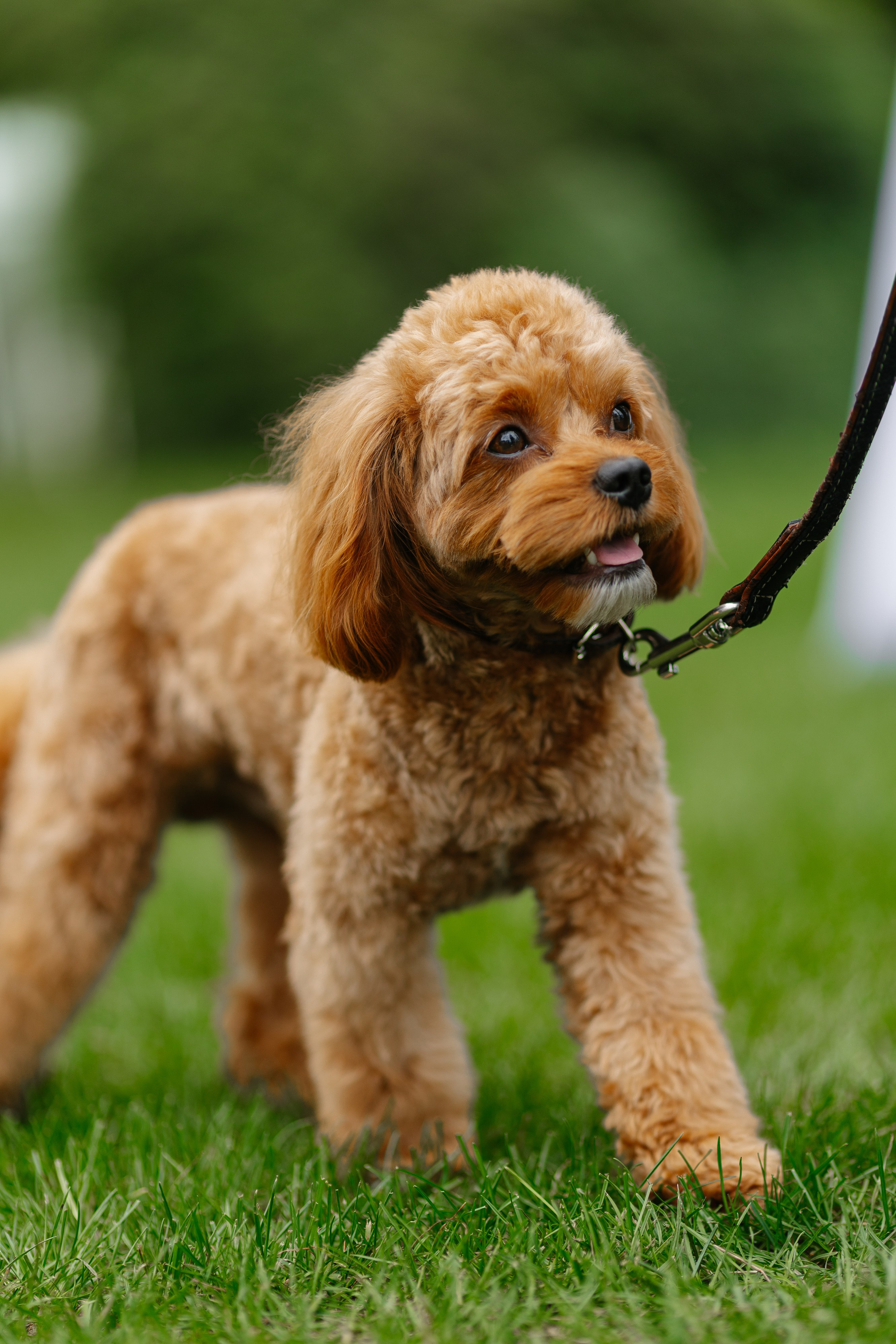 KARINA & VLADYSLAV. PODDUBNYAK ANDREY PHOTOGRAPHER