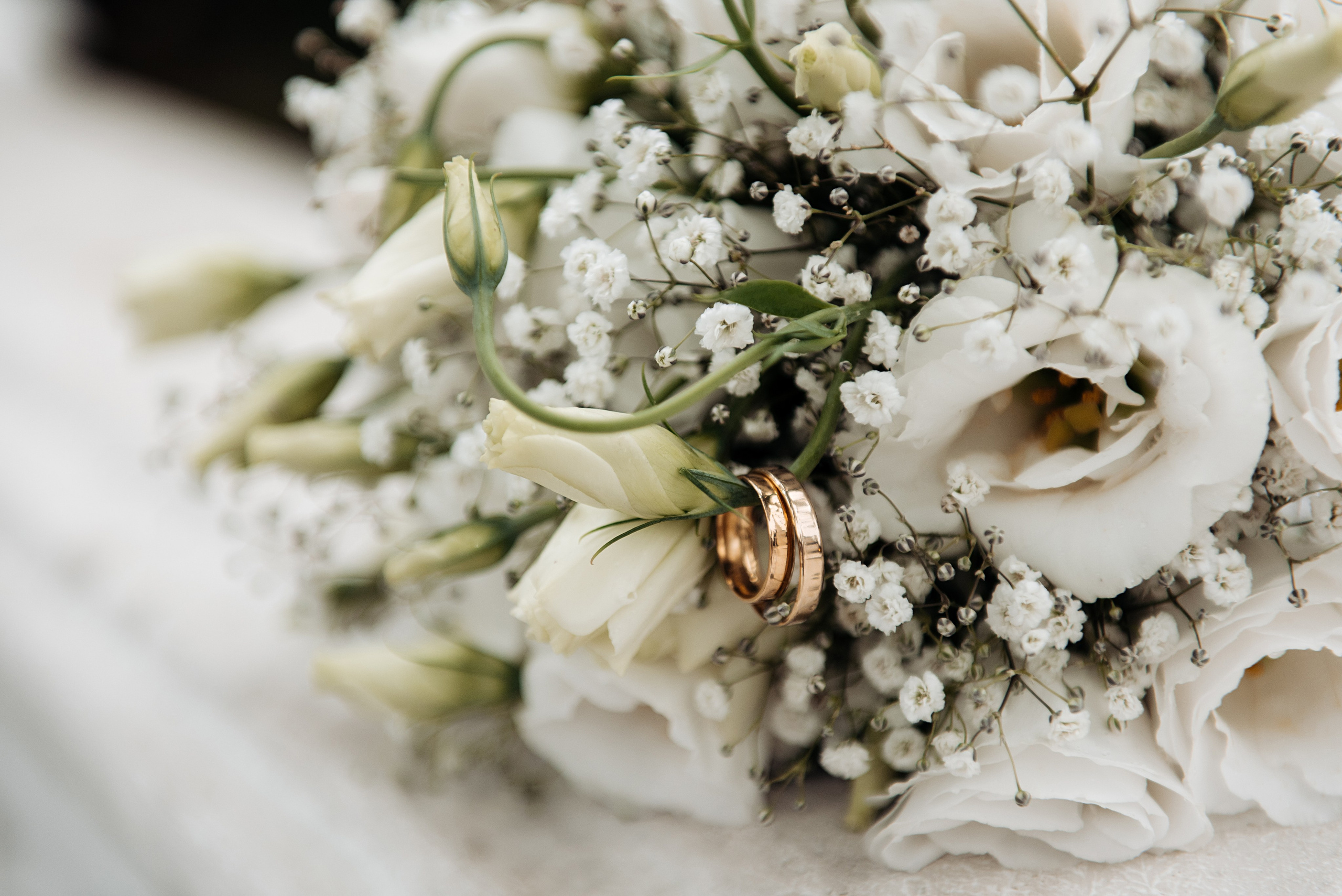 Love in Batumi. Свадебный и семейный фотограф в Германии, Пакош Валентина