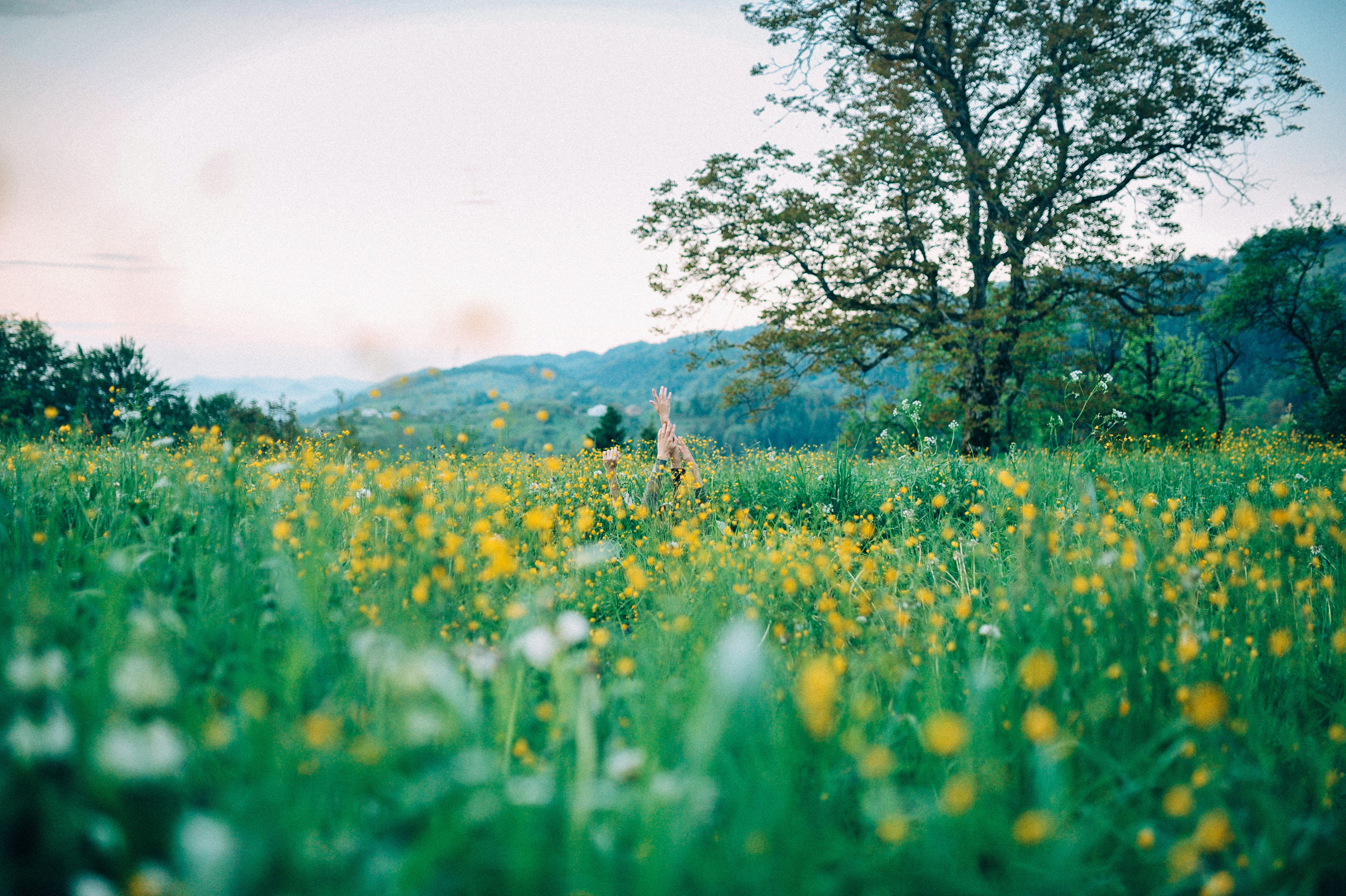 THE MOUNTAINS. Свадебный и семейный фотограф в Германии, Пакош Валентина