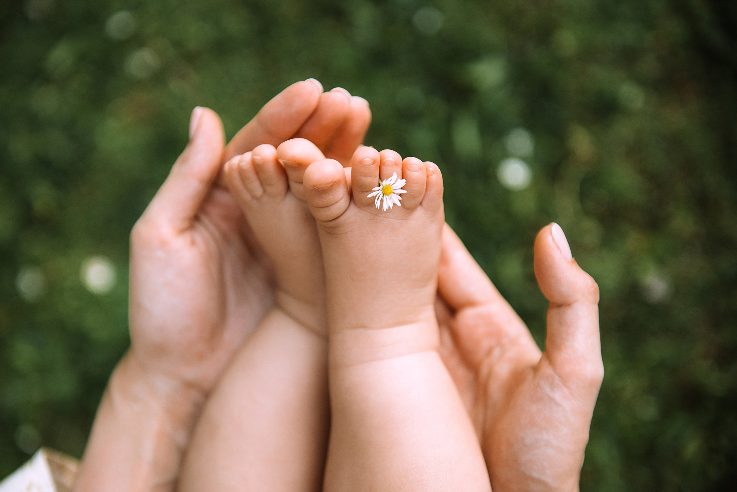 Семейная фотосессия на природе, в студии или дома. Свадебный и семейный фотограф в Германии, Пакош Валентина