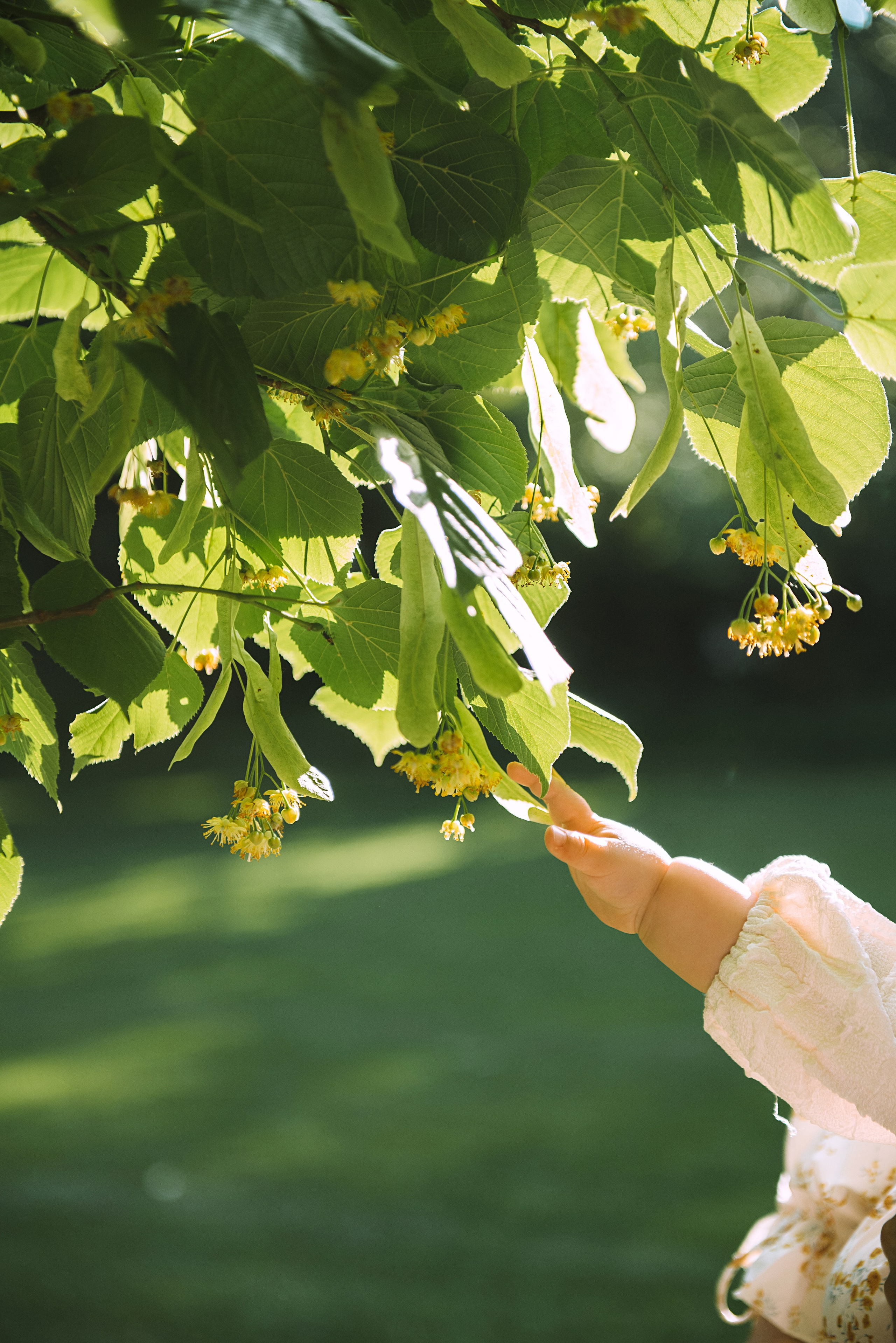 Семейная фотосессия на природе, в студии или дома. Свадебный и семейный фотограф в Германии, Пакош Валентина