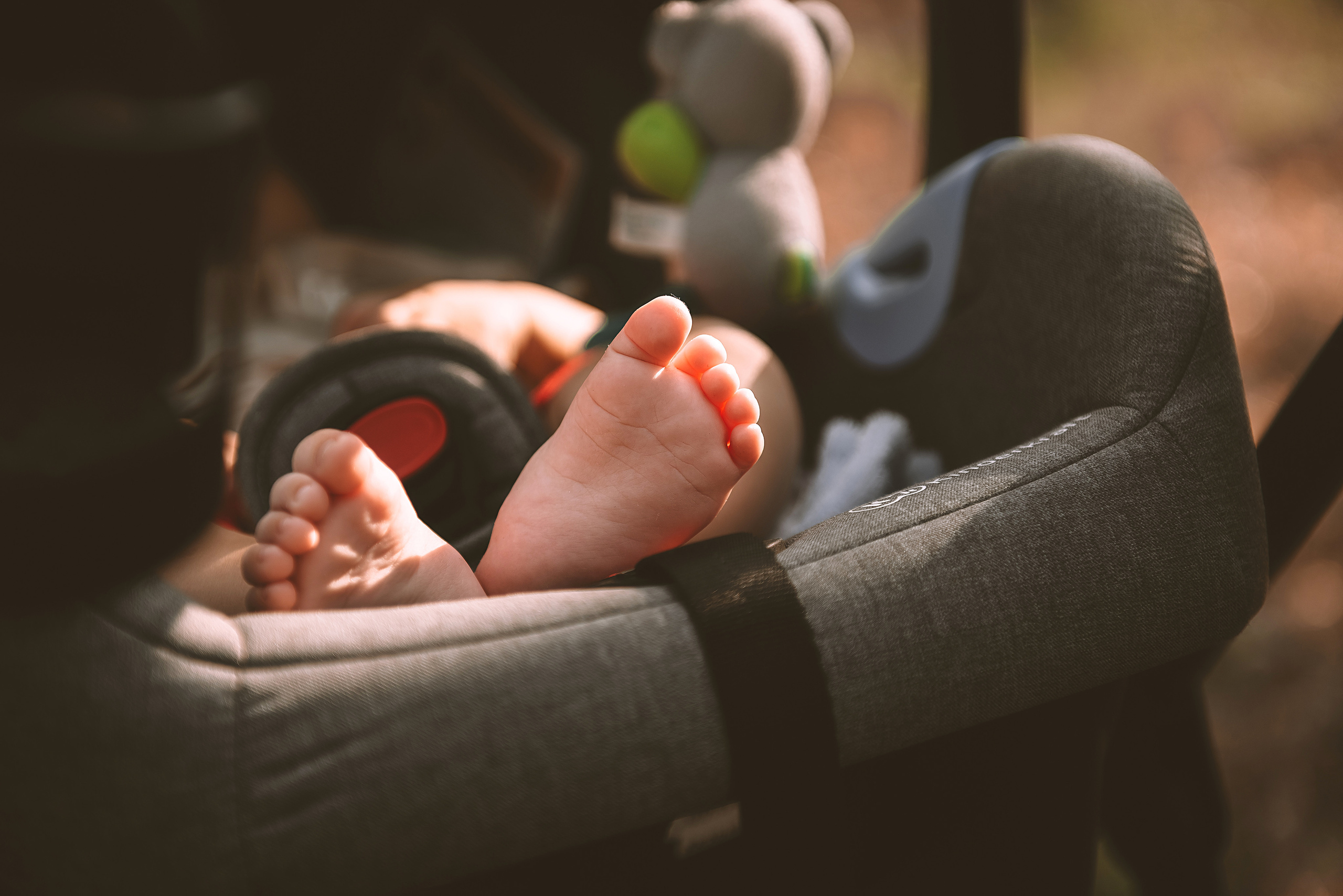 Family. Свадебный и семейный фотограф в Германии, Пакош Валентина