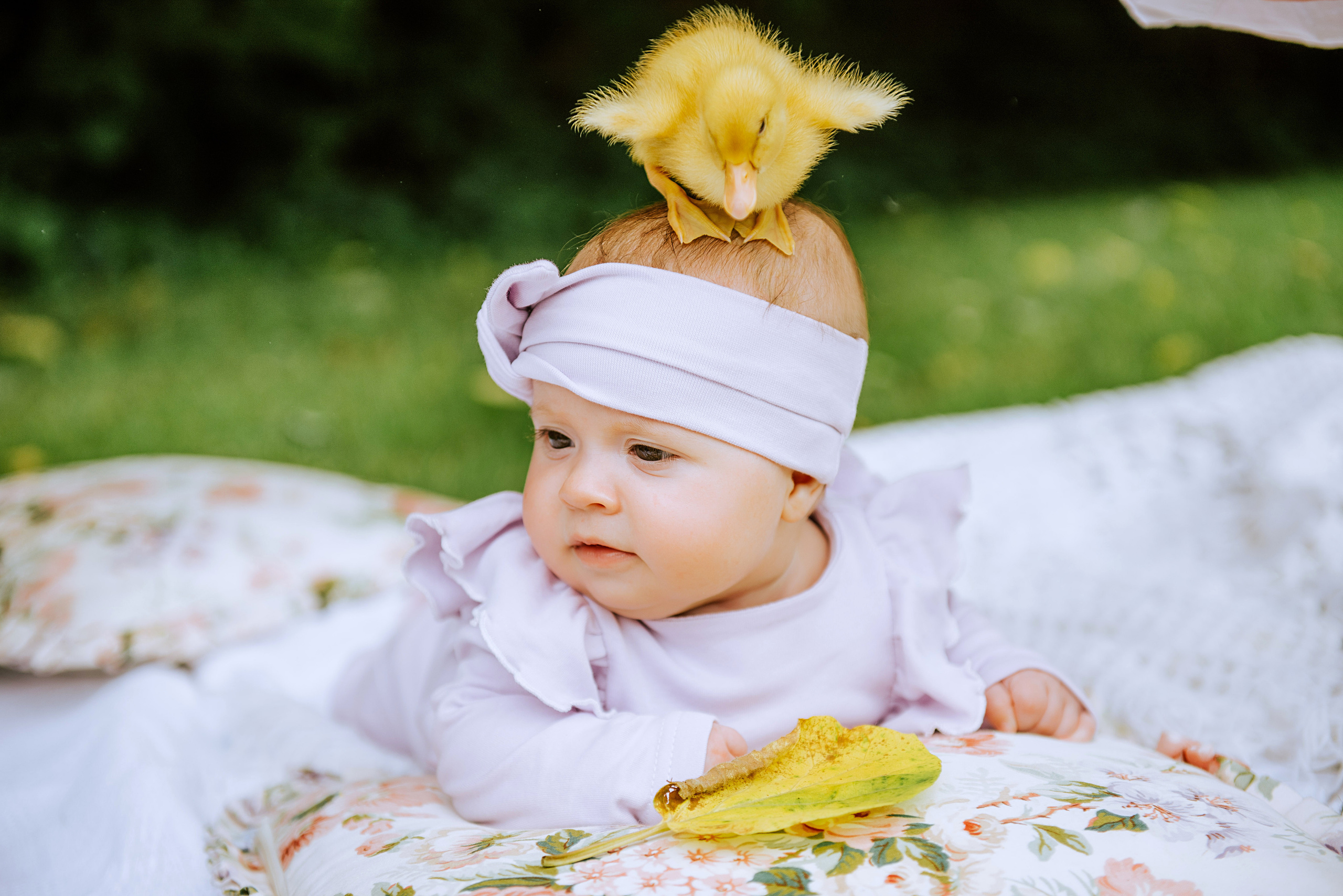 Детская фотосессия на природе, в студии, дома. Свадебный и семейный фотограф в Германии, Пакош Валентина