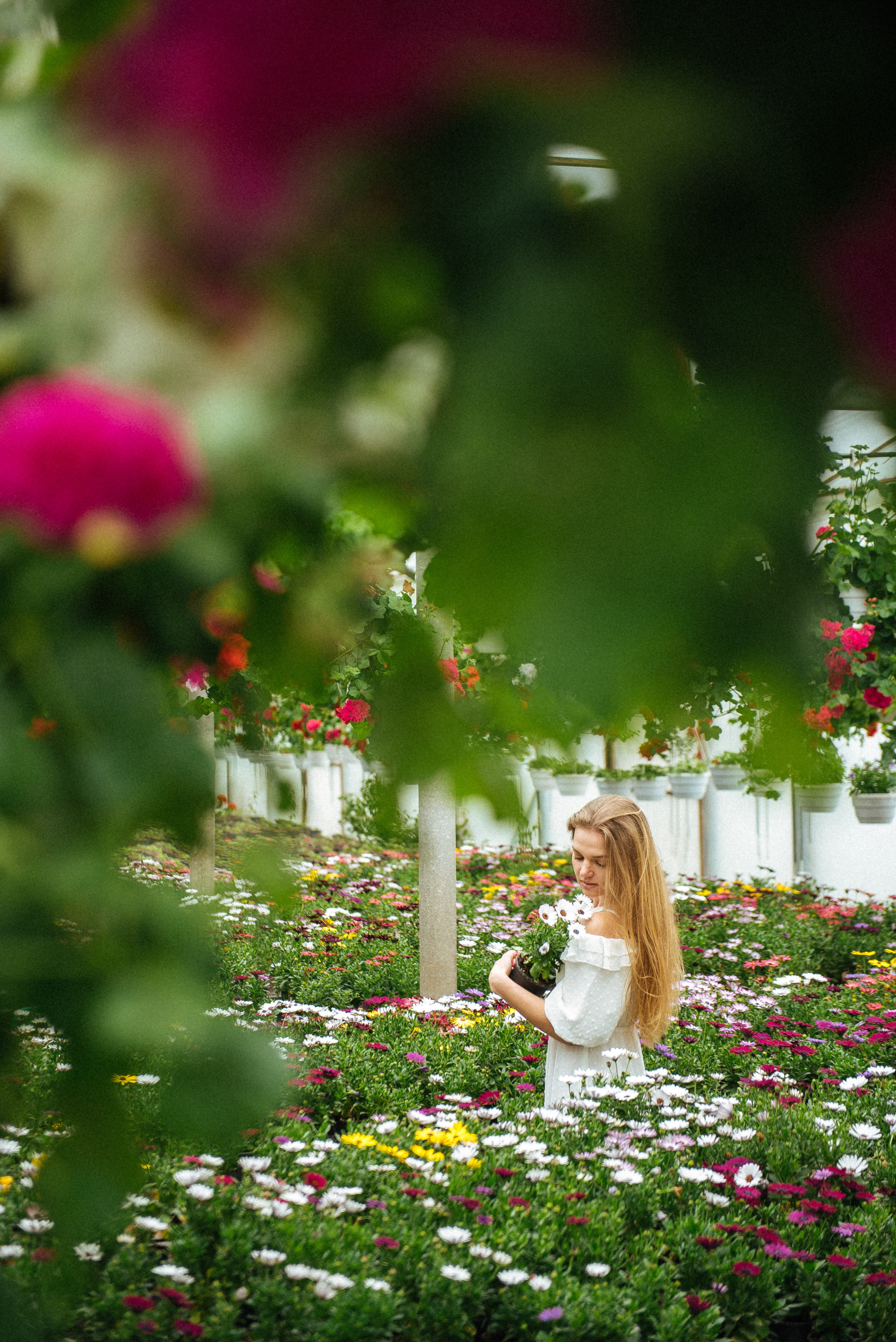 Персональные съемки на природе, у воды, на море, в горах, в поле. Свадебный и семейный фотограф в Германии, Пакош Валентина