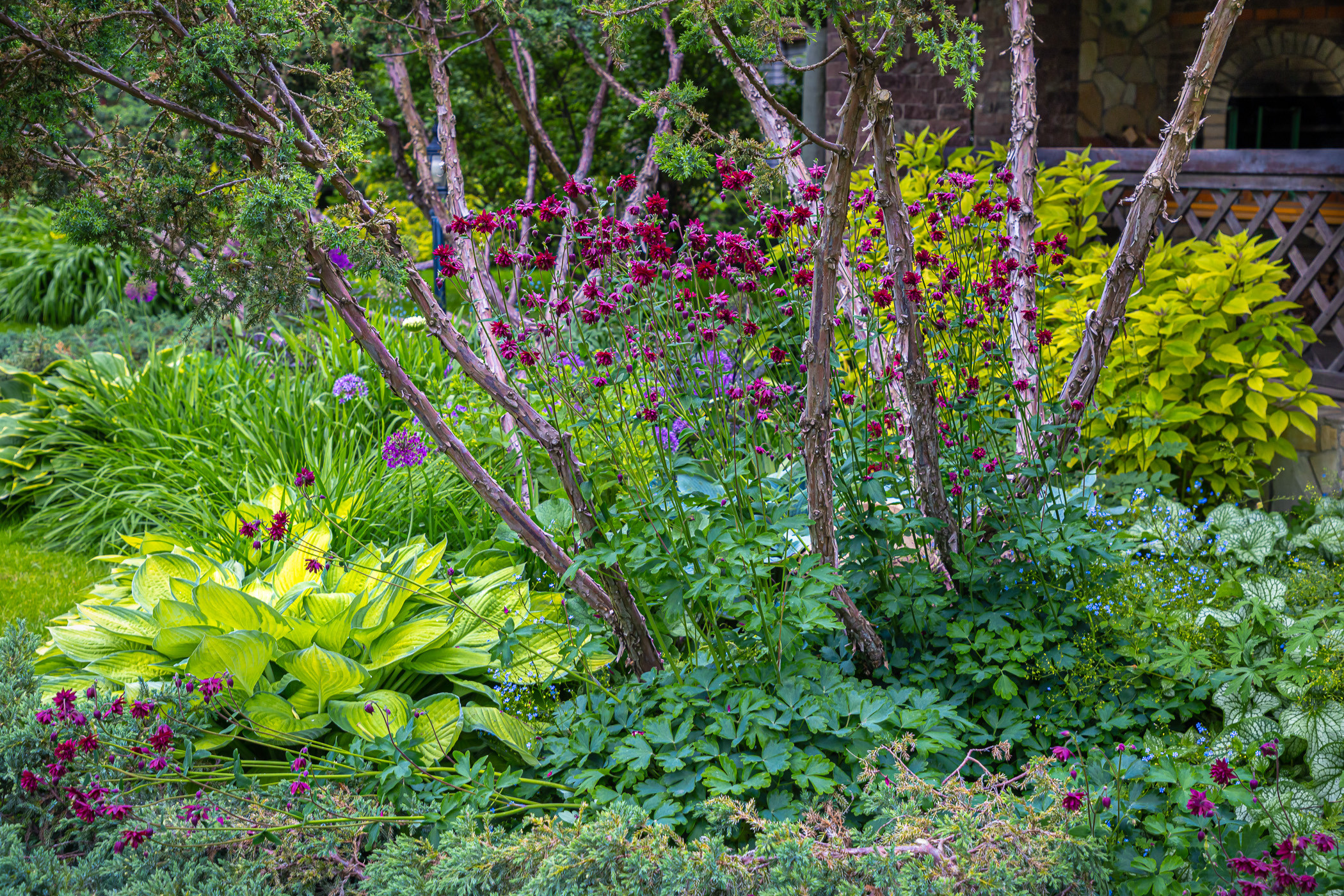 Photographing a spring-blooming private garden near Kyiv. Garden and interior photographer Elena Shavlovska, Netherlands