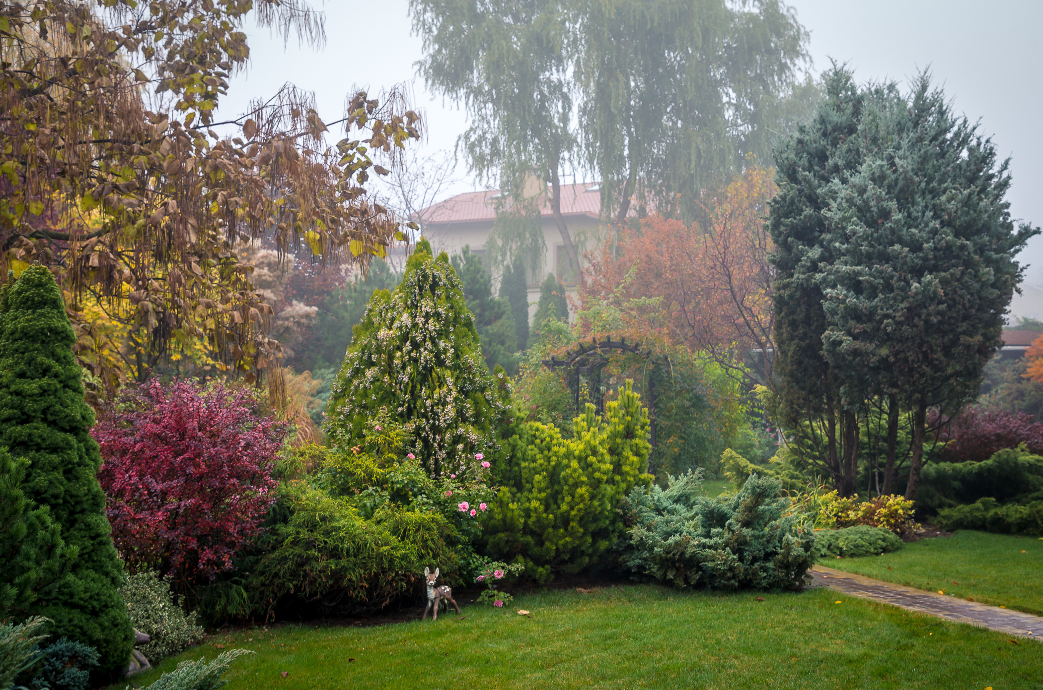 Фотосъемка частного дизайнерского сада осенью, под Киевом. Фотограф ландшафтных садов и интерьеров Елена Шавловская, Нидерланды