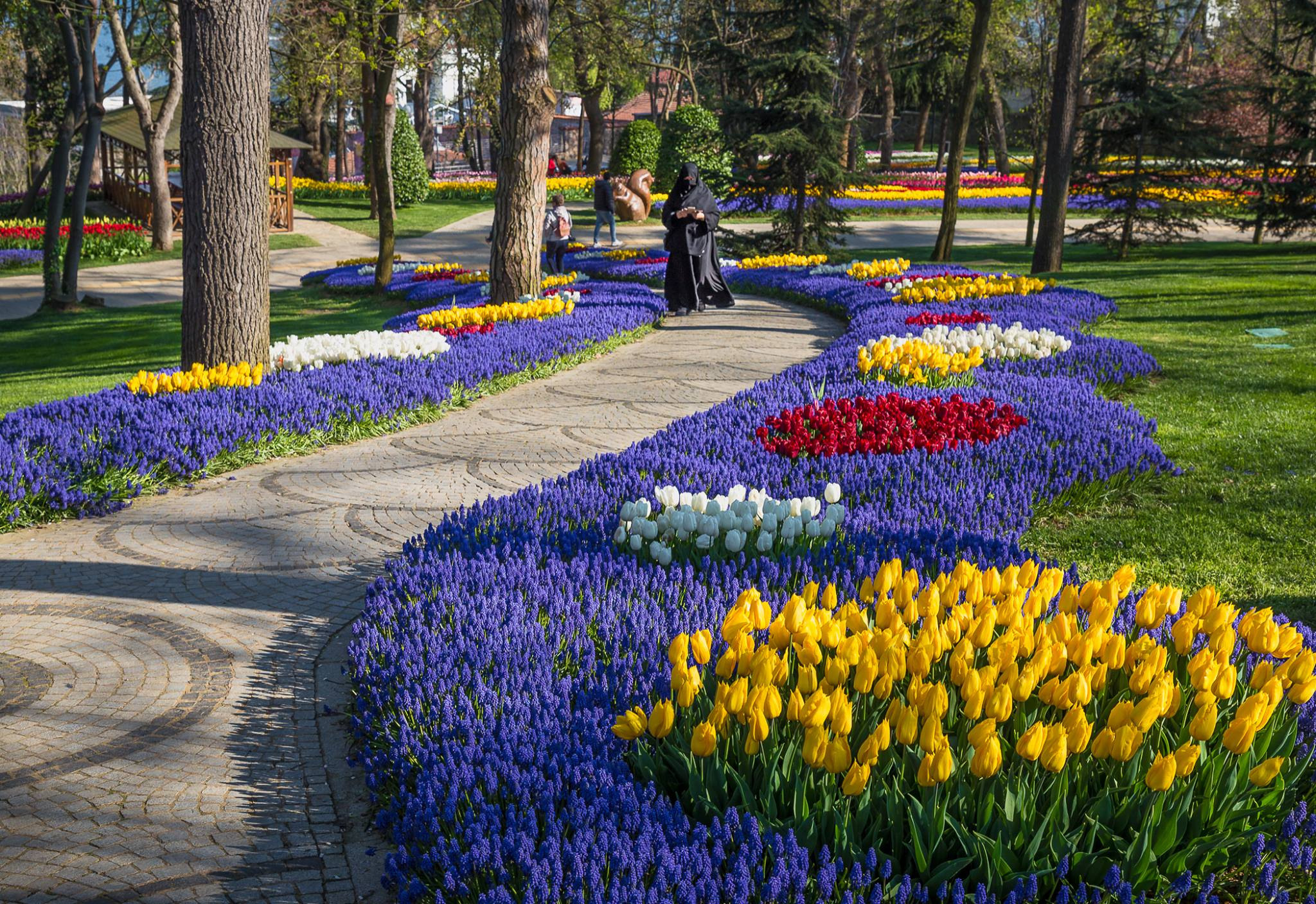 Photo shoot of Emirgan Tulip Park in Istanbul. Garden and interior photographer Elena Shavlovska, Netherlands