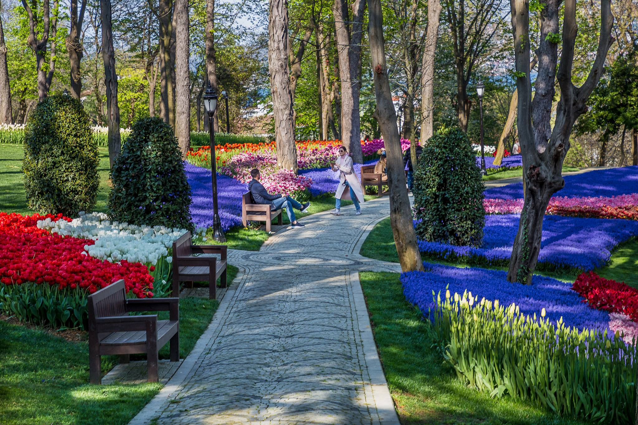 Photo shoot of Emirgan Tulip Park in Istanbul. Garden and interior photographer Elena Shavlovska, Netherlands