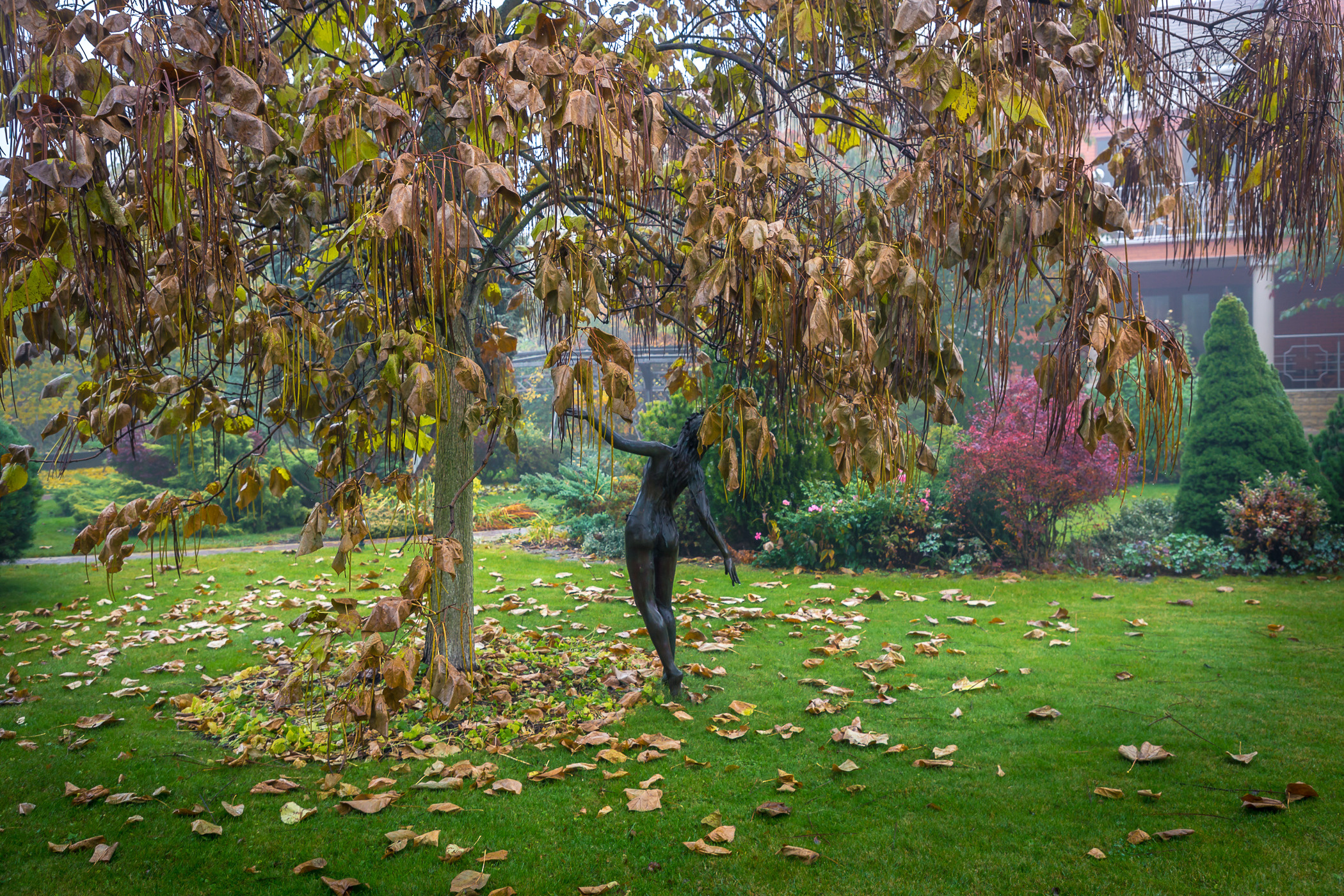 Фотосъемка частного дизайнерского сада осенью, под Киевом. Фотограф ландшафтных садов и интерьеров Елена Шавловская, Нидерланды