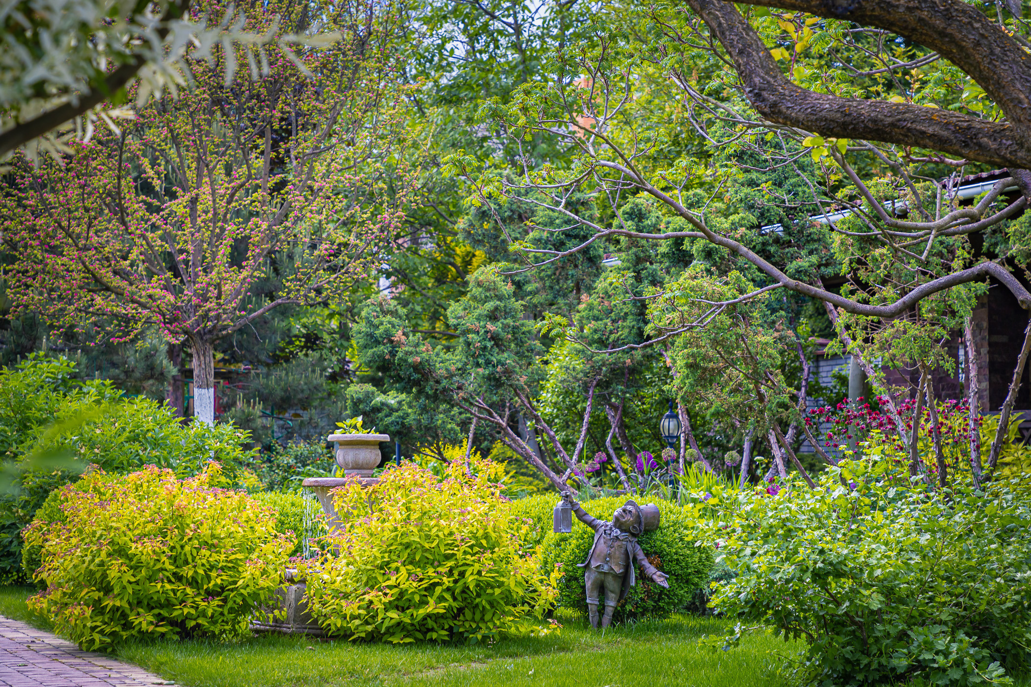 Photographing a spring-blooming private garden near Kyiv. Garden and interior photographer Elena Shavlovska, Netherlands