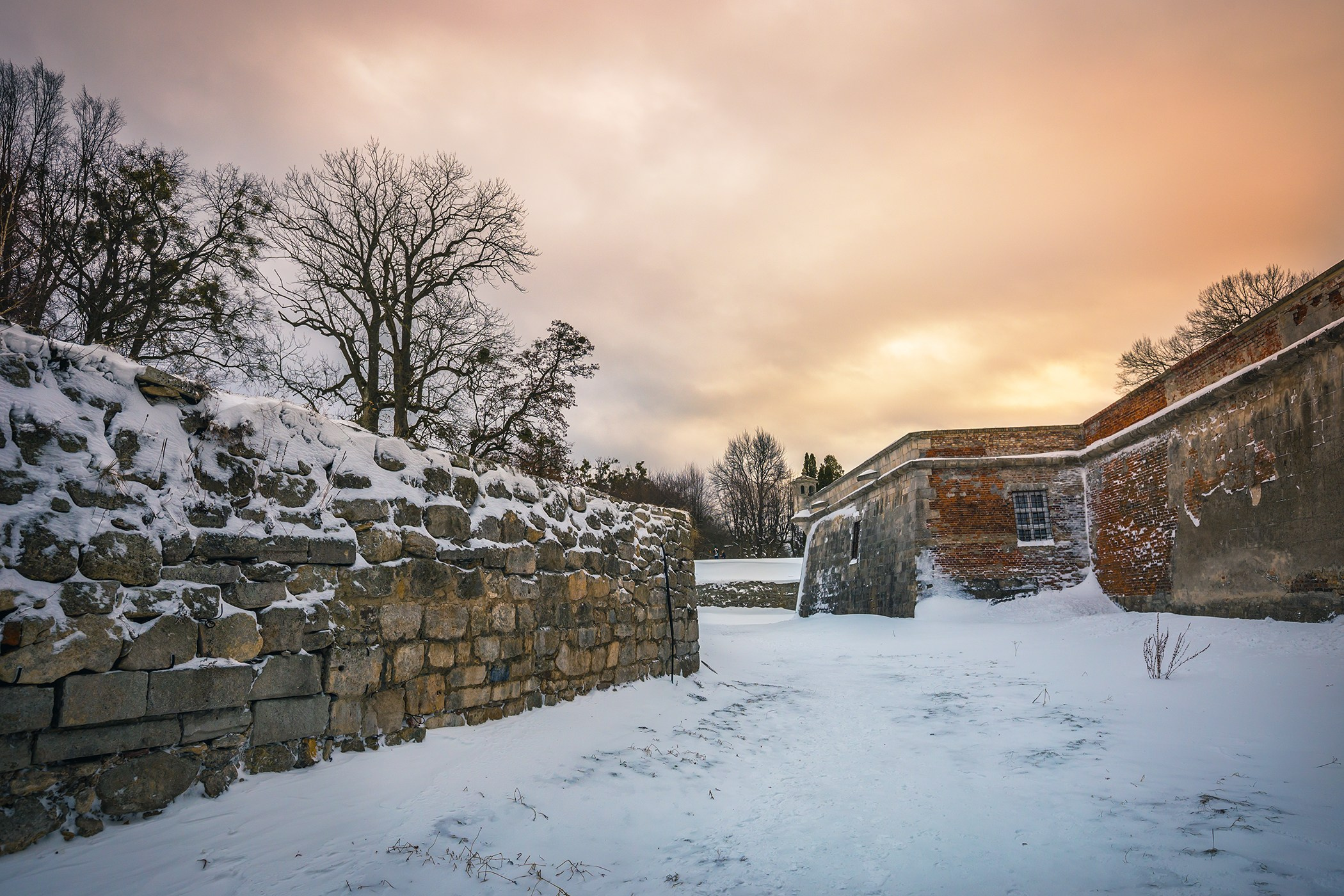 Pidgoretsky Castle, January 2019. Garden and interior photographer Elena Shavlovska, Netherlands