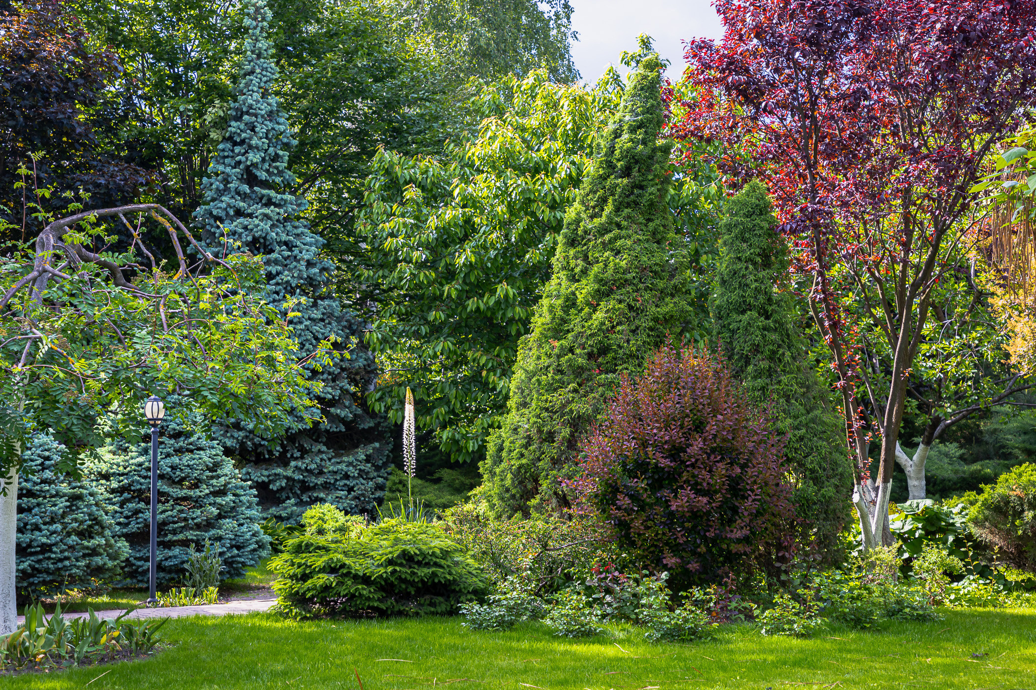 Photographing a spring-blooming private garden near Kyiv. Garden and interior photographer Elena Shavlovska, Netherlands