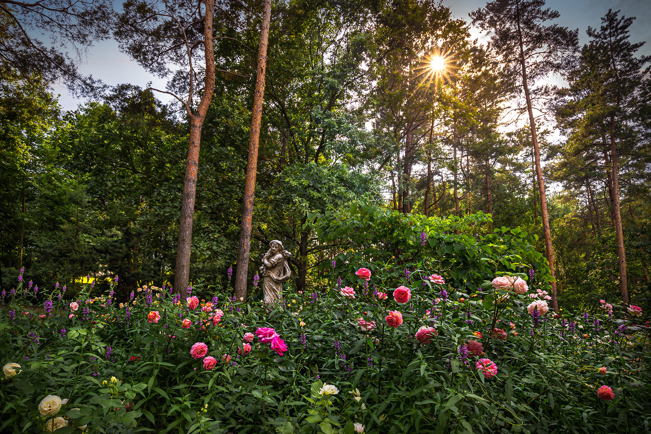 Фотосессия частного сада в французском стиле под Киевом. Фотограф ландшафтных садов и интерьеров Елена Шавловская, Нидерланды