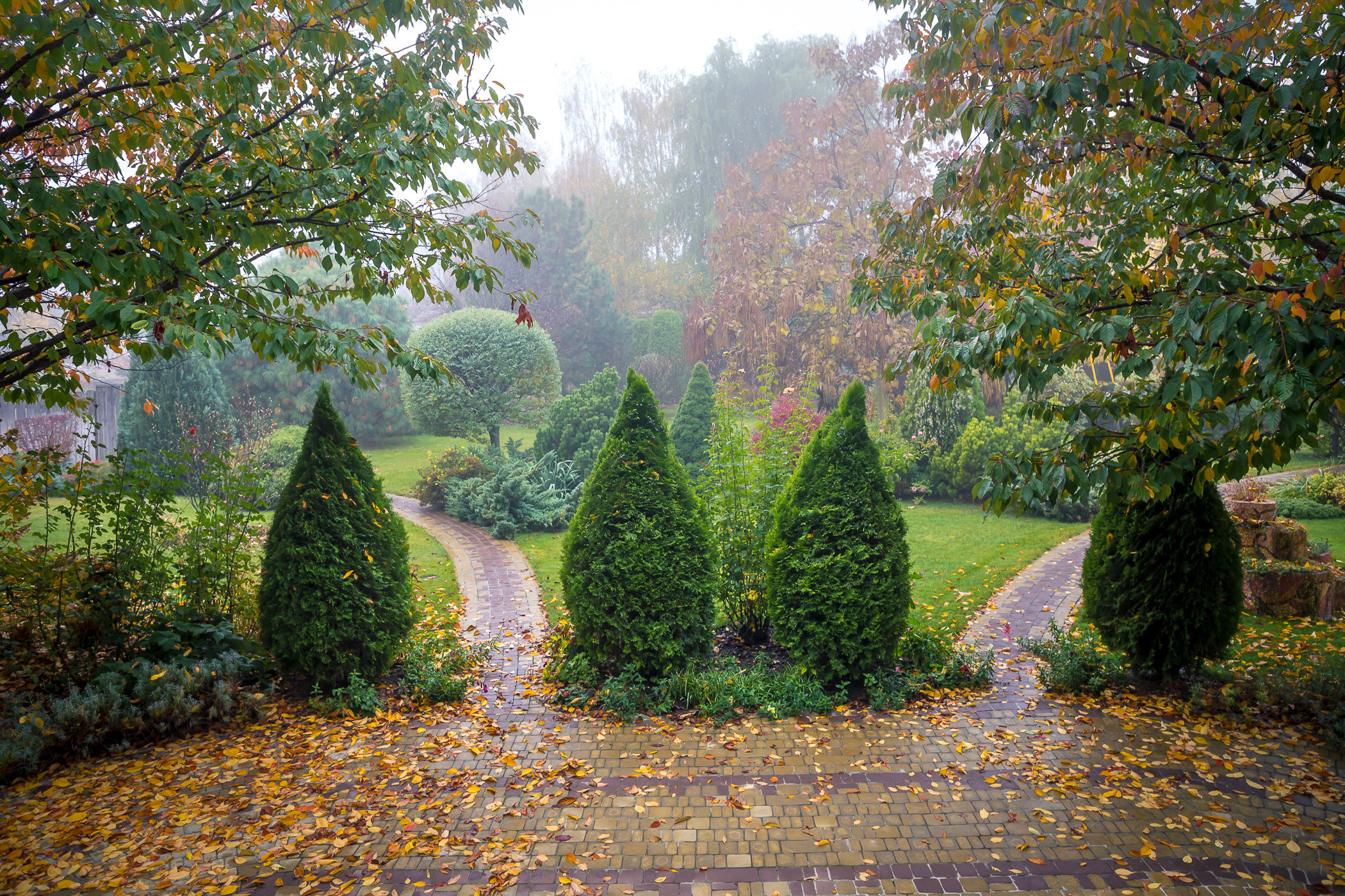 Фотосъемка частного дизайнерского сада осенью, под Киевом. Фотограф ландшафтных садов и интерьеров Елена Шавловская, Нидерланды