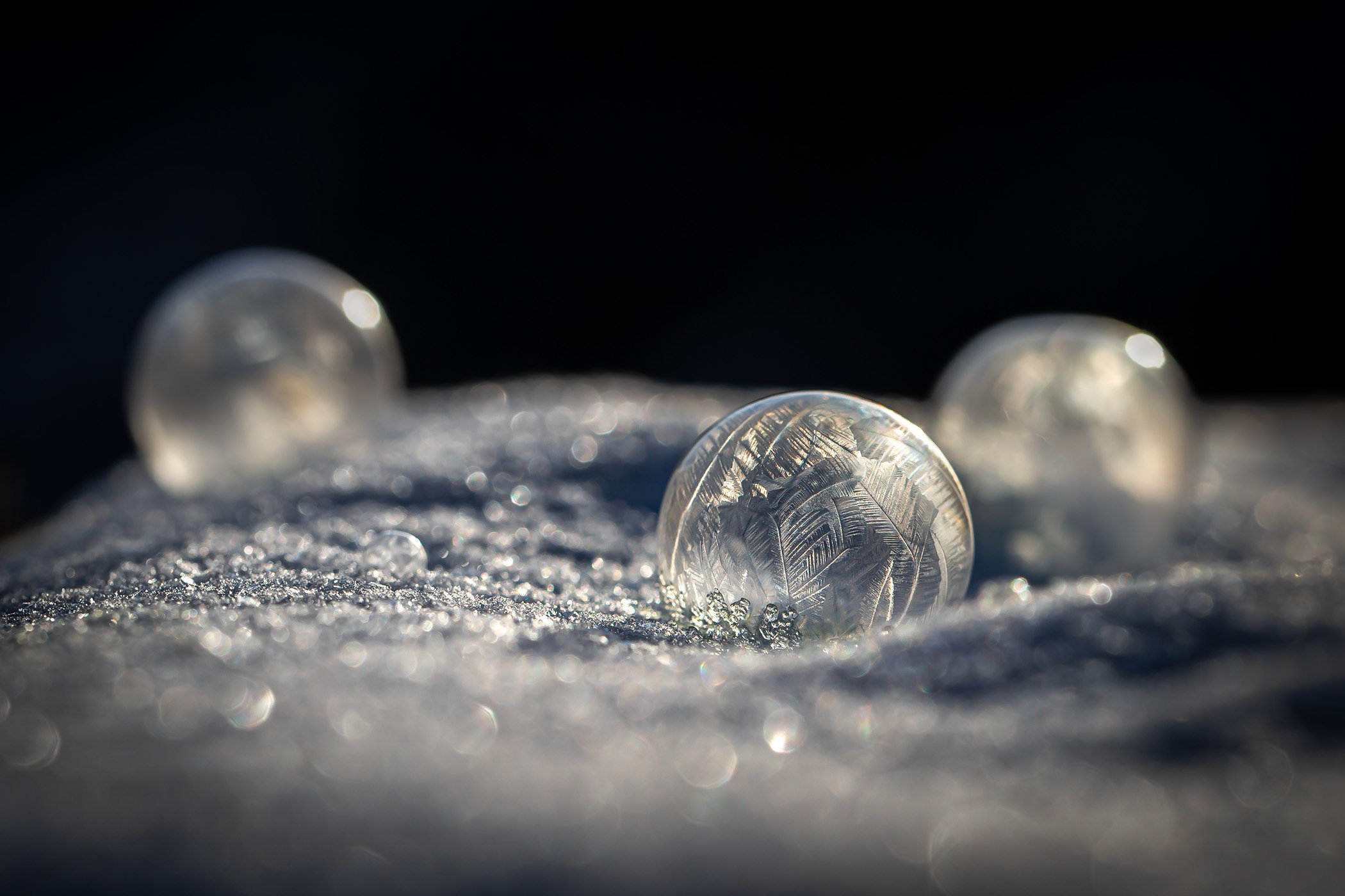 Frozen bubbles. Garden and interior photographer Elena Shavlovska, Netherlands