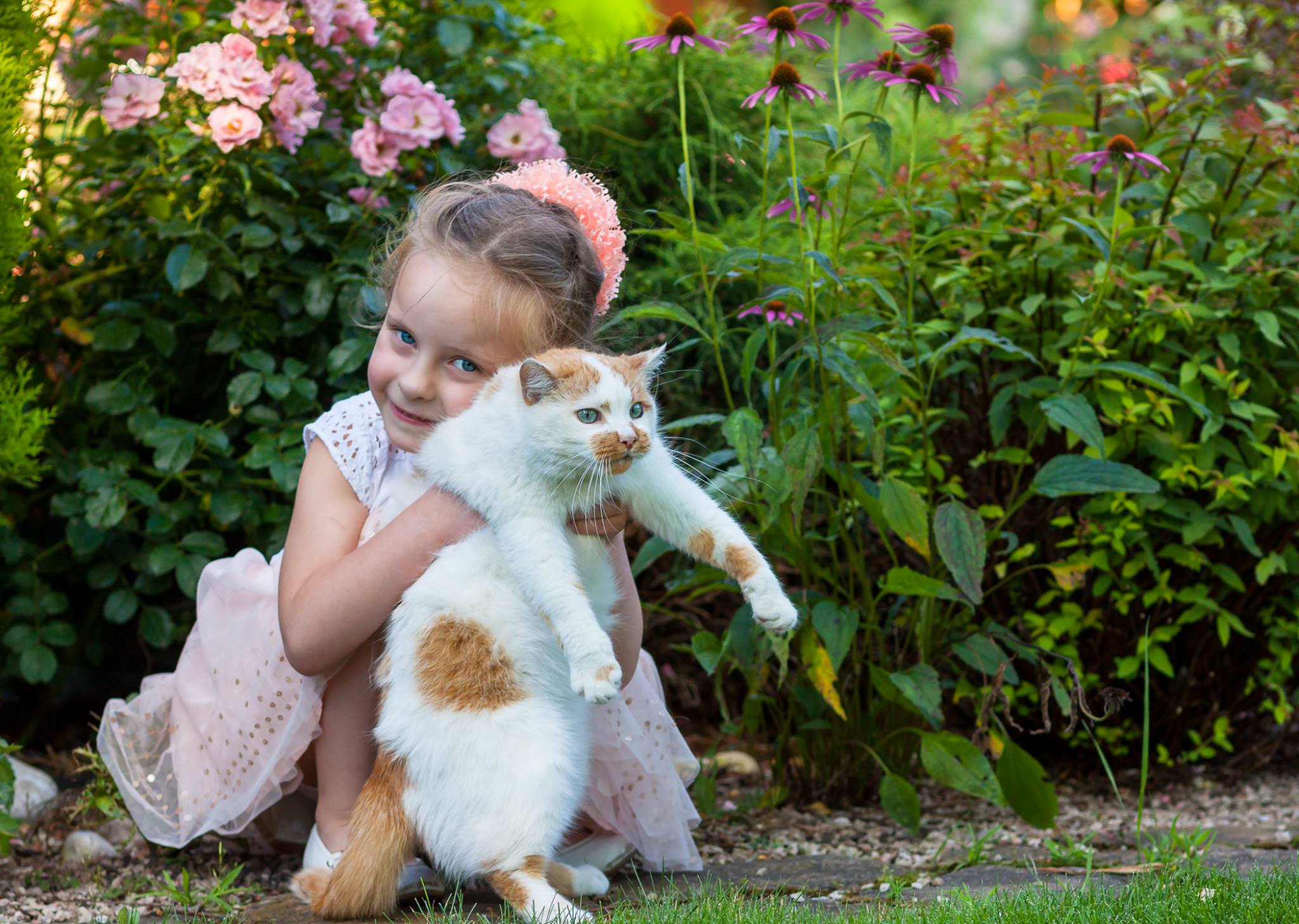 Children and a cat, photo walk. Garden and interior photographer Elena Shavlovska, Netherlands