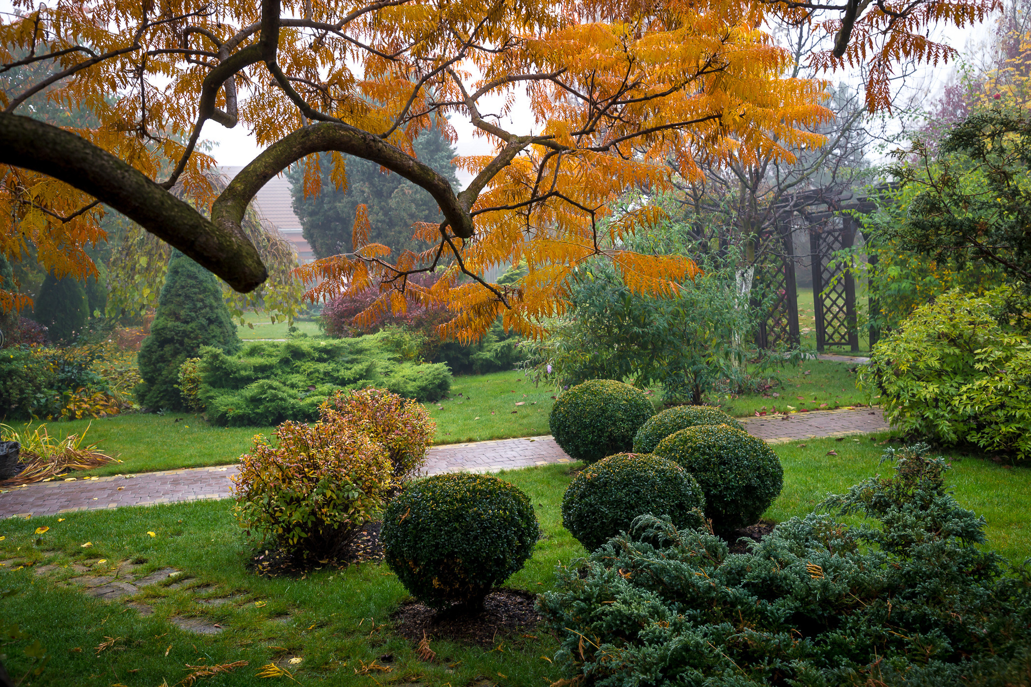 Фотосъемка частного дизайнерского сада осенью, под Киевом. Фотограф ландшафтных садов и интерьеров Елена Шавловская, Нидерланды