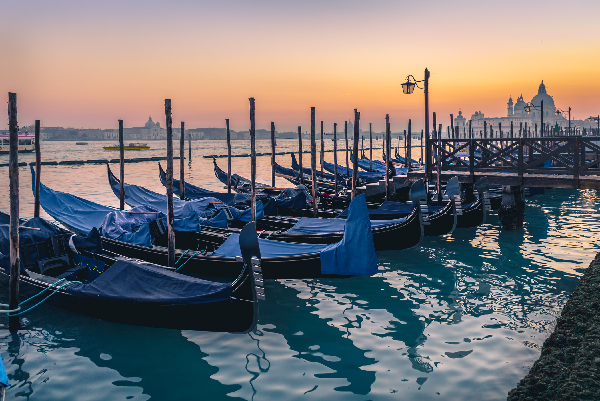 Venice, the end of the working time of the gondoliers. Garden and interior photographer Elena Shavlovska, Netherlands