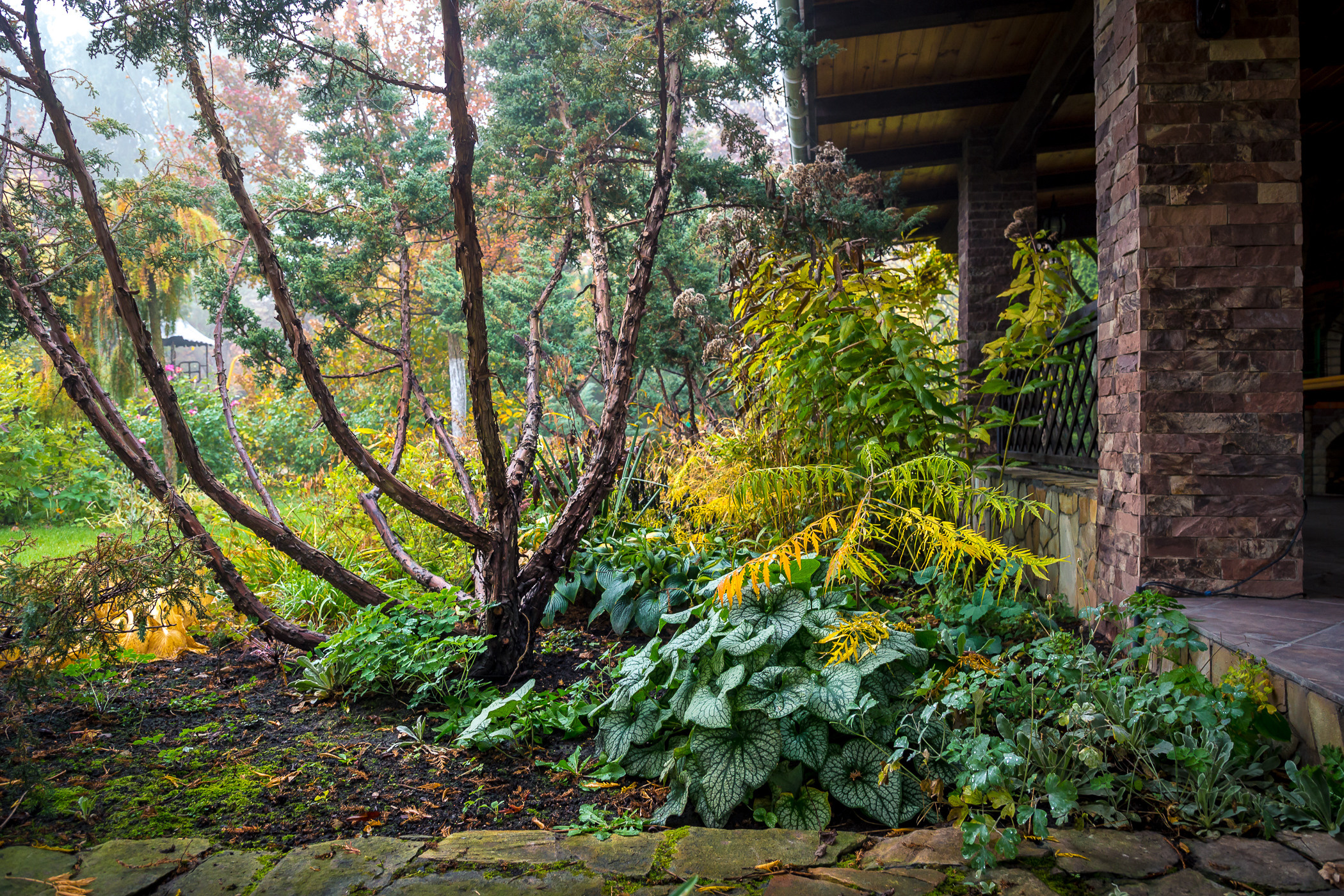 Фотосъемка частного дизайнерского сада осенью, под Киевом. Фотограф ландшафтных садов и интерьеров Елена Шавловская, Нидерланды