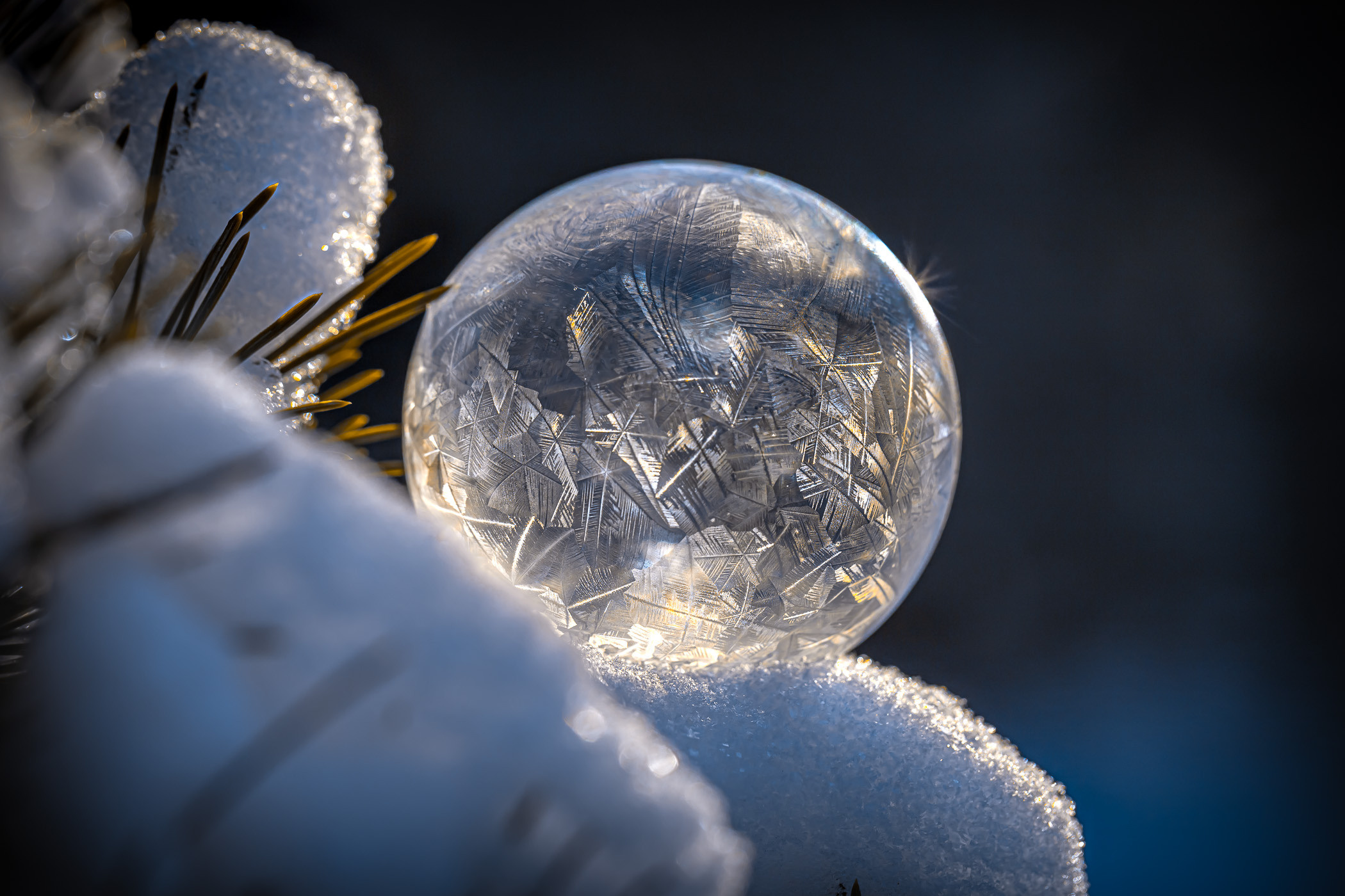 Frozen bubbles. Garden and interior photographer Elena Shavlovska, Netherlands