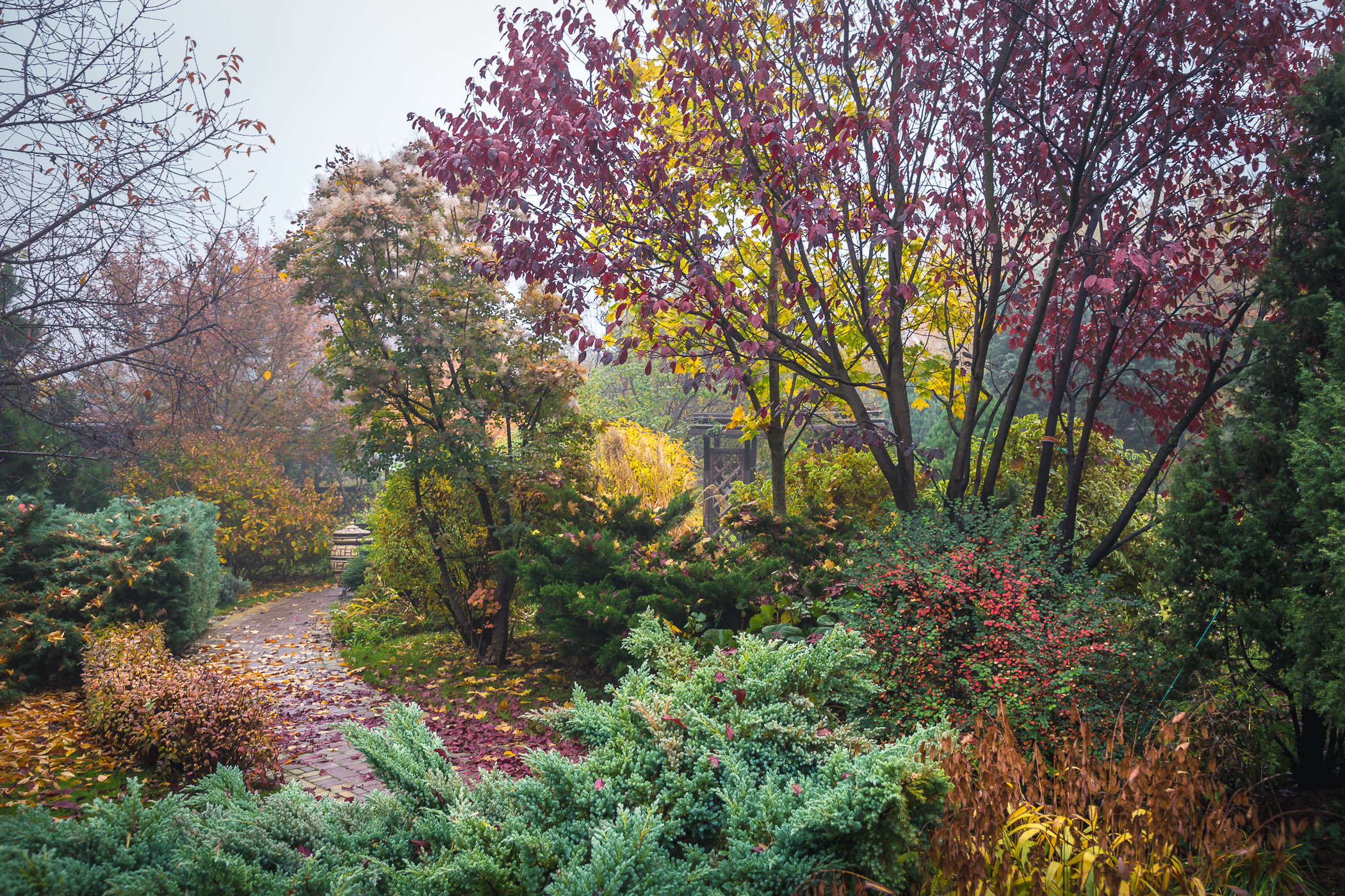 Фотосъемка частного дизайнерского сада осенью, под Киевом. Фотограф ландшафтных садов и интерьеров Елена Шавловская, Нидерланды