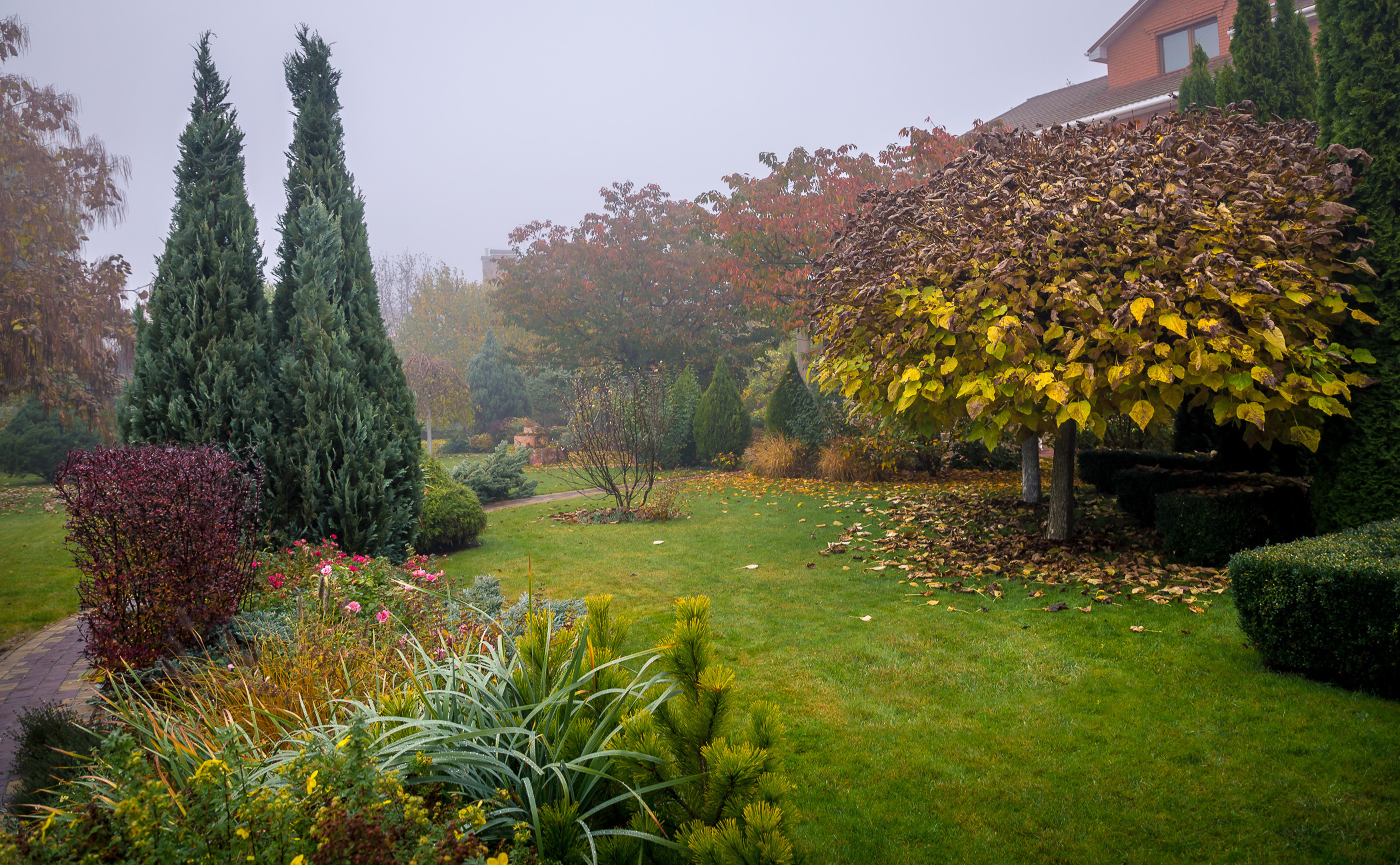 Фотосъемка частного дизайнерского сада осенью, под Киевом. Фотограф ландшафтных садов и интерьеров Елена Шавловская, Нидерланды