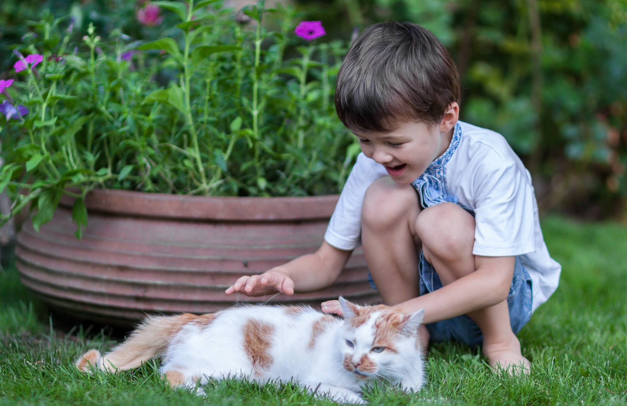 Children and a cat, photo walk. Garden and interior photographer Elena Shavlovska, Netherlands
