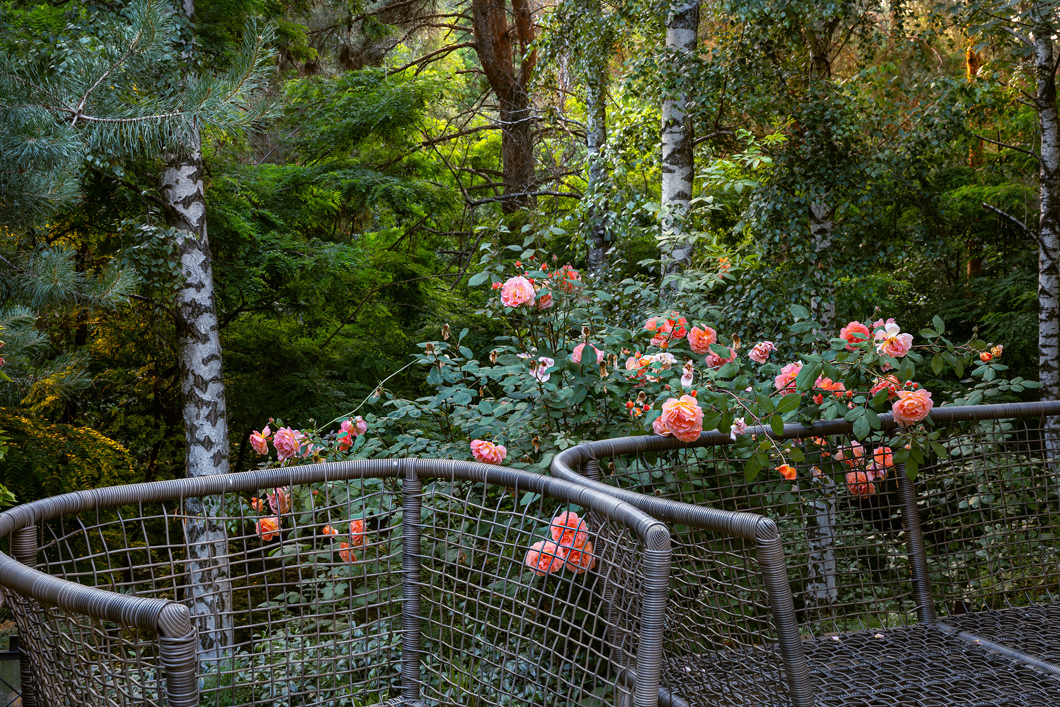 Фотосессия частного сада в французском стиле под Киевом. Фотограф ландшафтных садов и интерьеров Елена Шавловская, Нидерланды