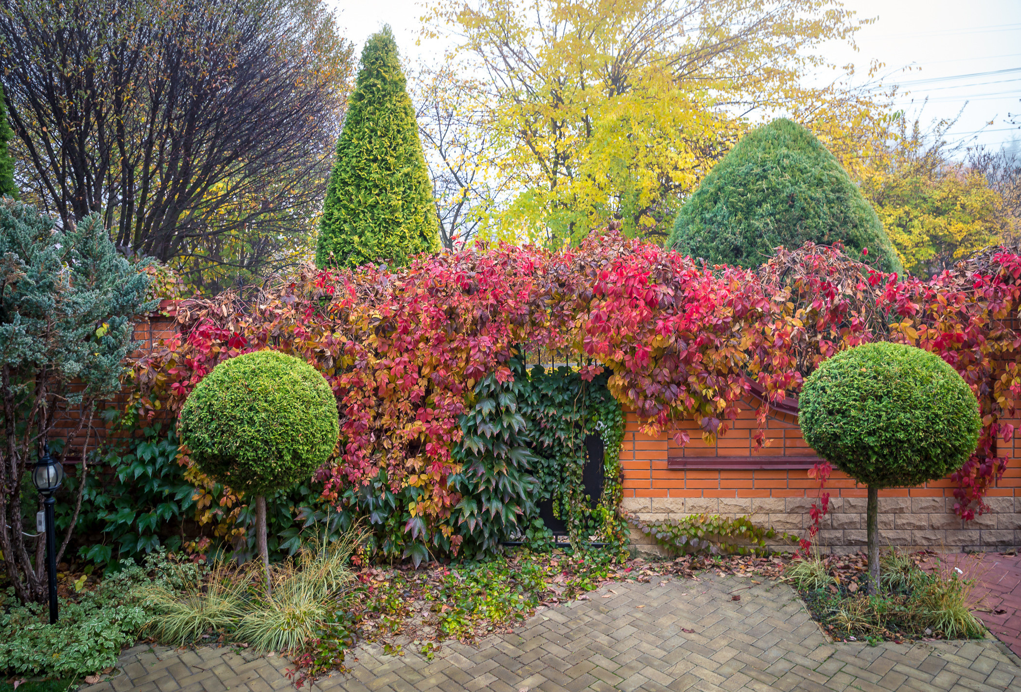 Фотосъемка частного дизайнерского сада осенью, под Киевом. Фотограф ландшафтных садов и интерьеров Елена Шавловская, Нидерланды