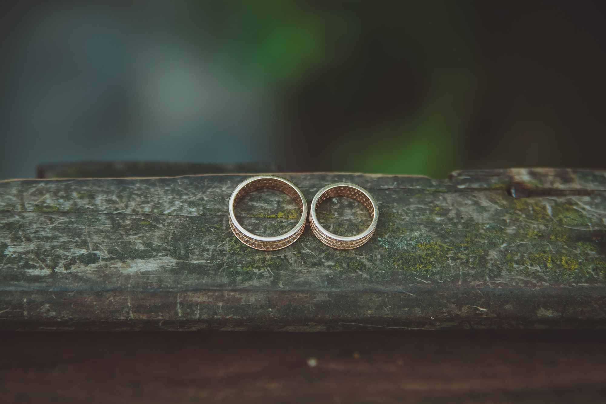 Владимир и Илона