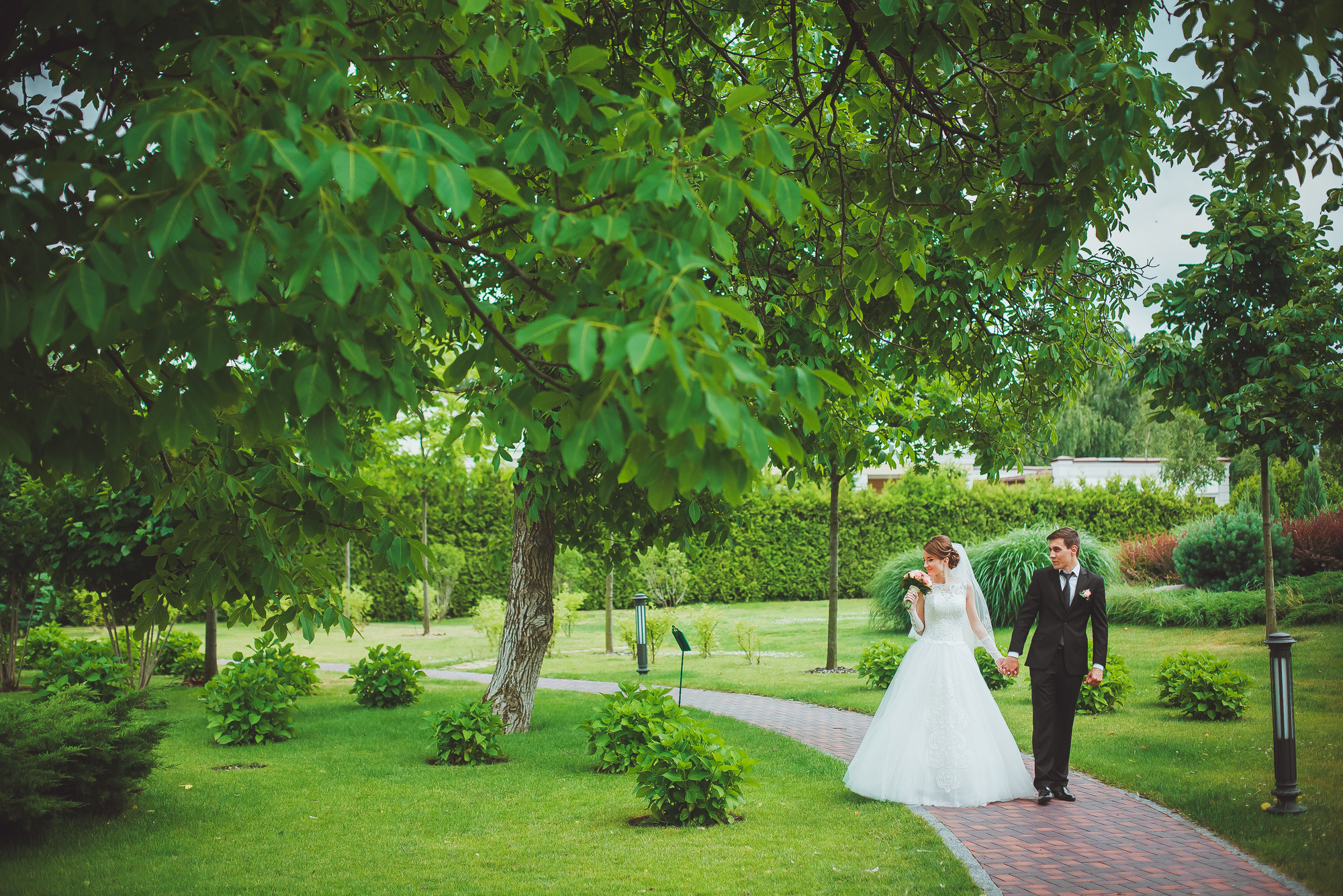 Владимир и Илона