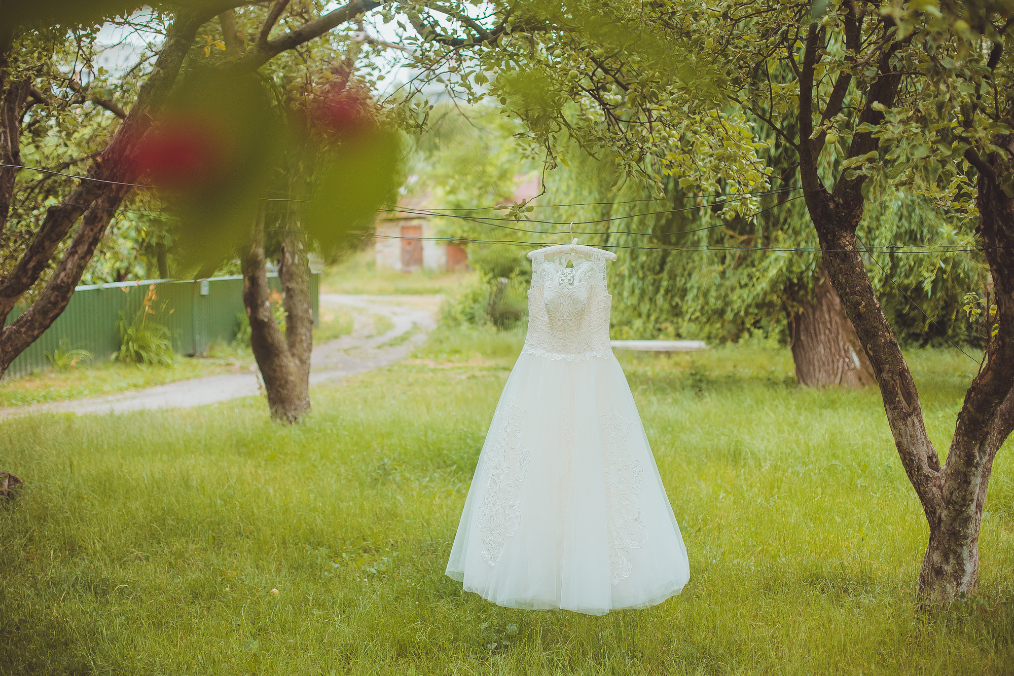 Владимир и Илона