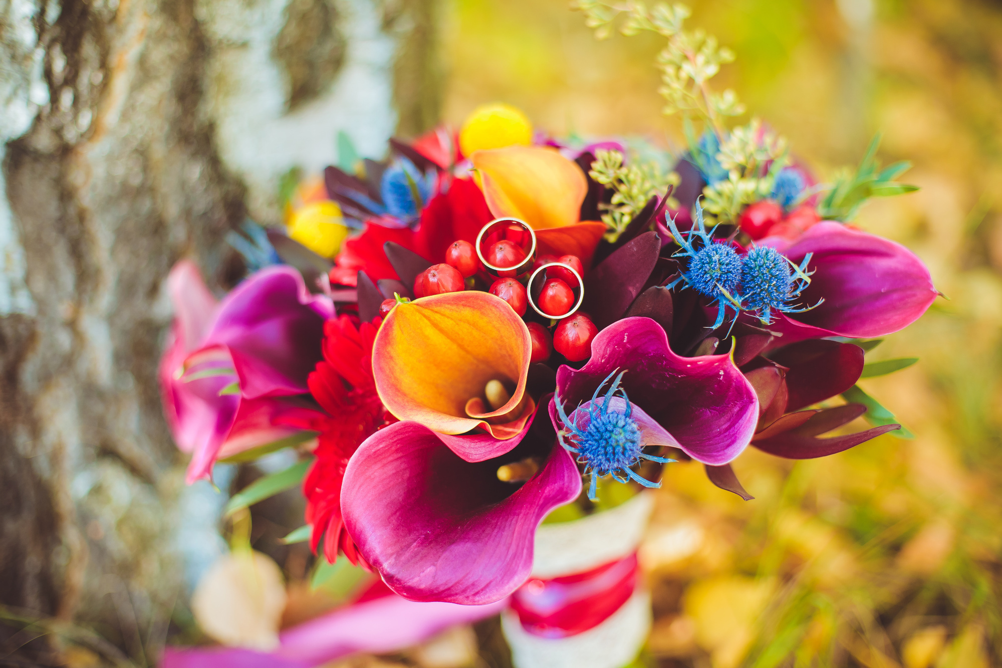 Саша и Настя. Фотограф в Киеве Владимир Лавренчук