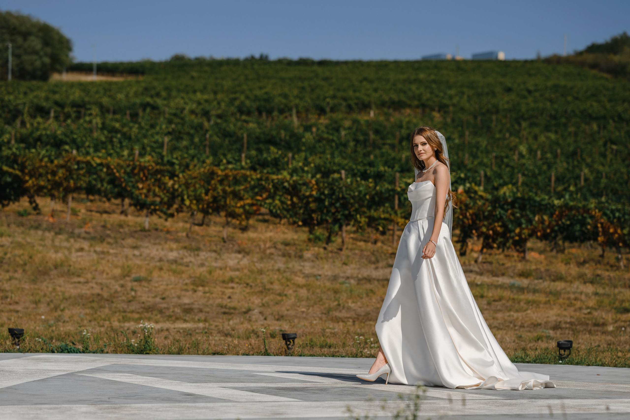 Превью свадьбы Андрея и Алины