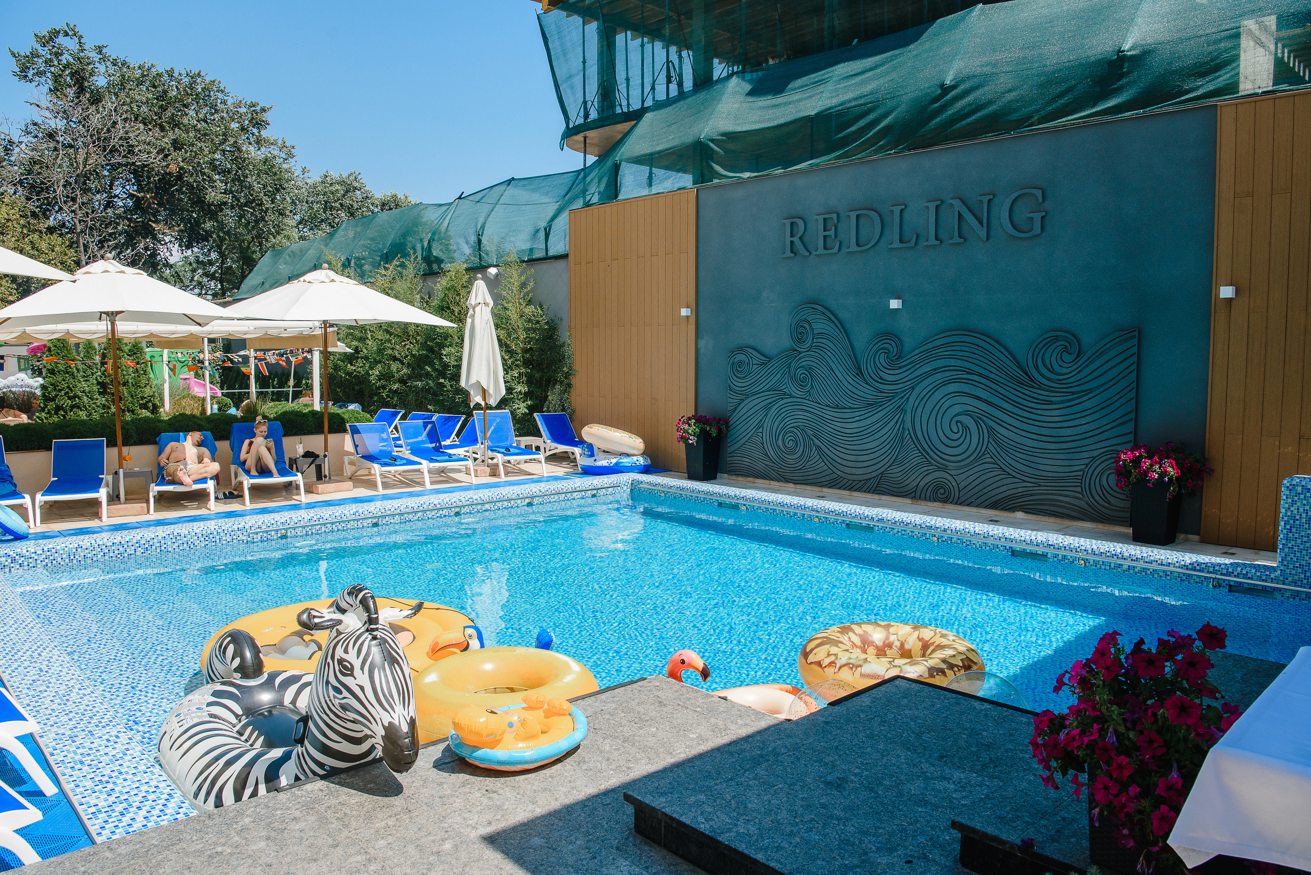 День Рождения Софии 16 лет