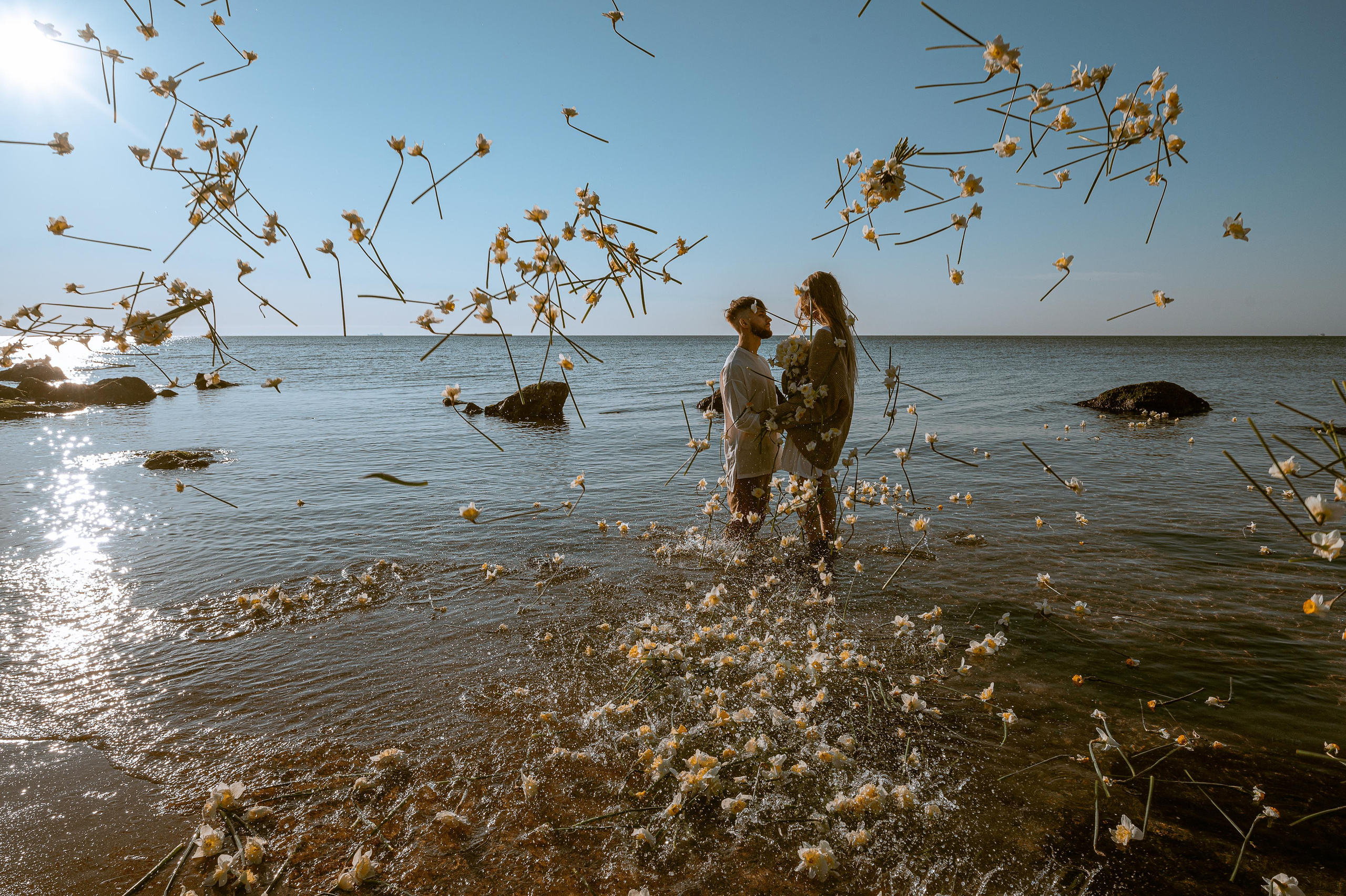 Любовь с нарциссами или рассвет на Фонтанке