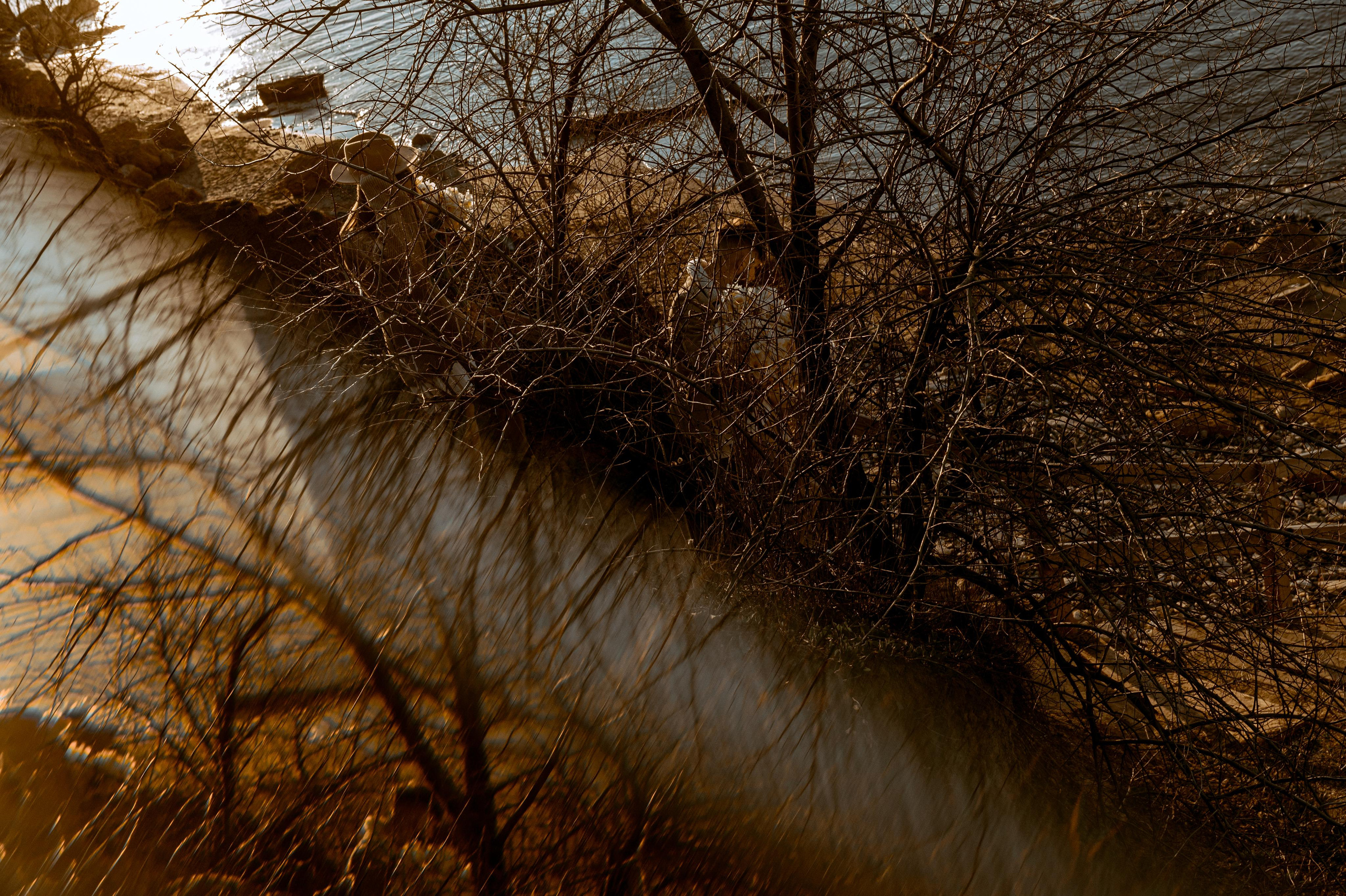 Любовь с нарциссами или рассвет на Фонтанке