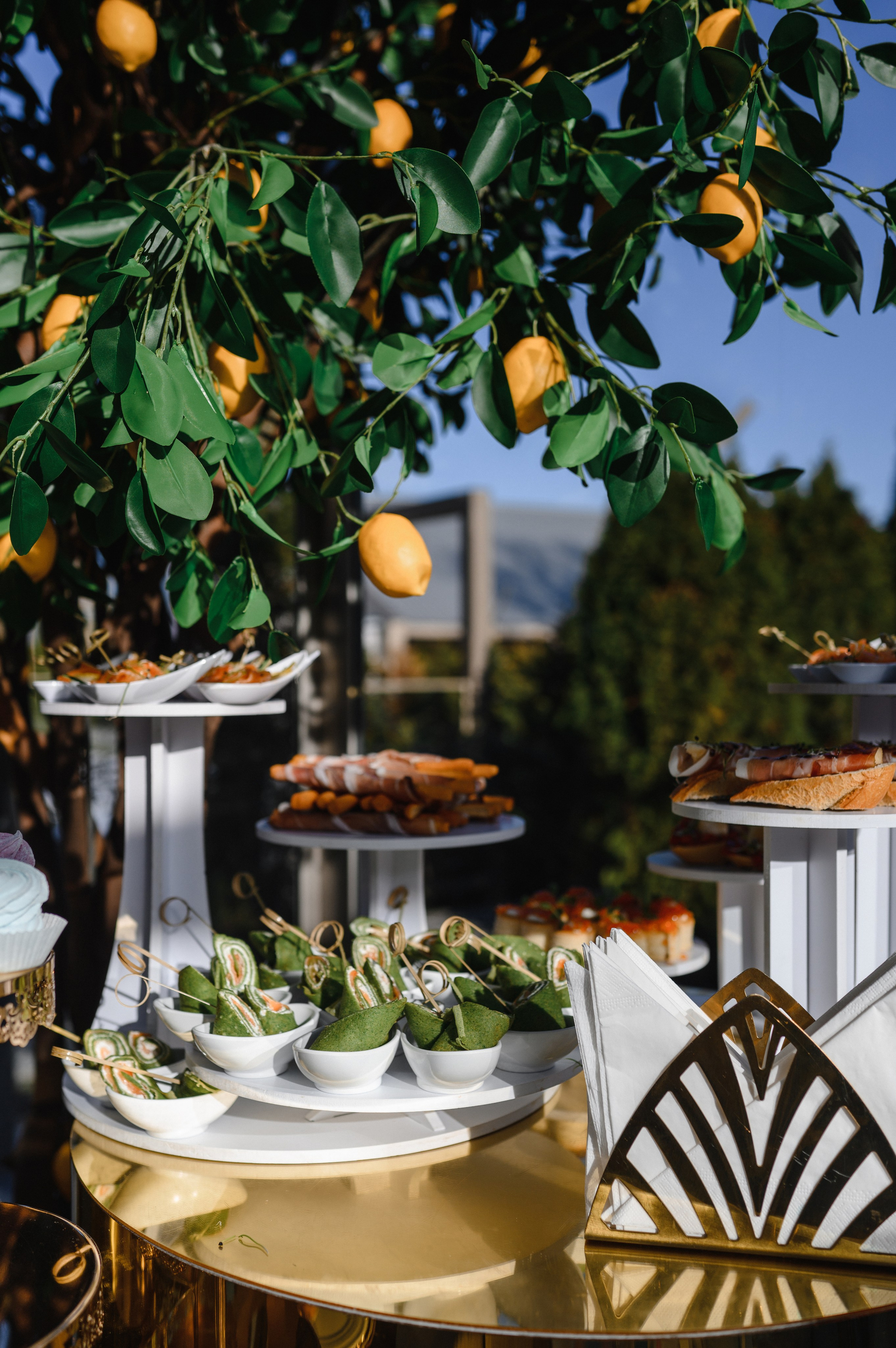 Гендер Пати, Premium park, Кишинев