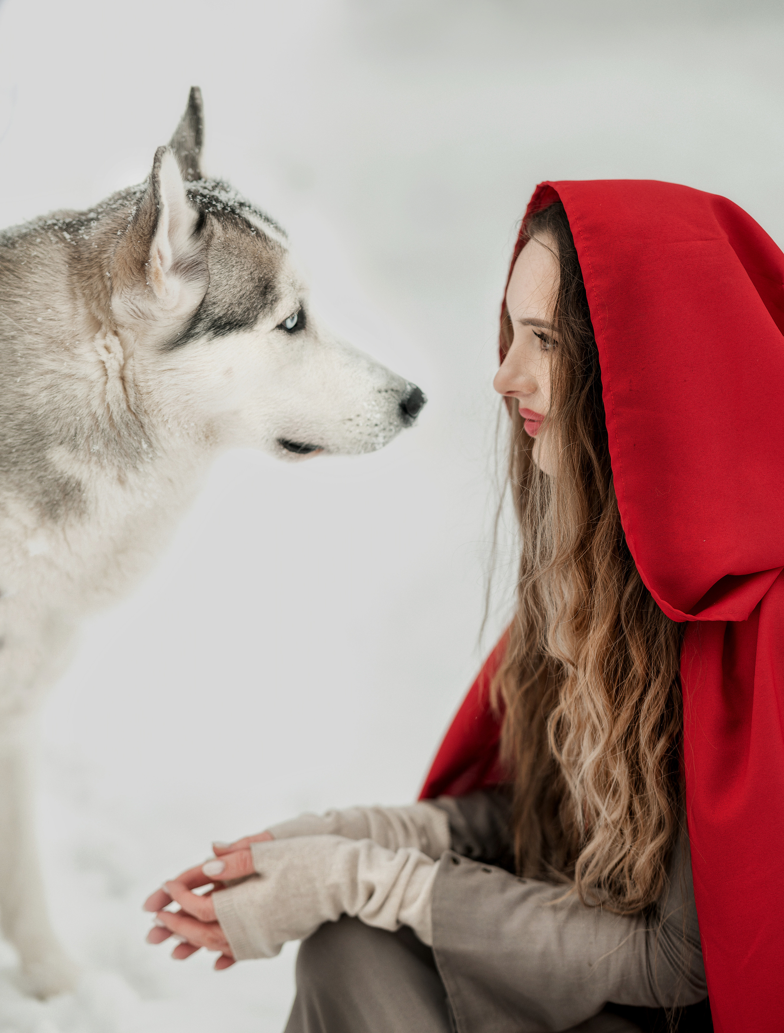 Красная шапочка