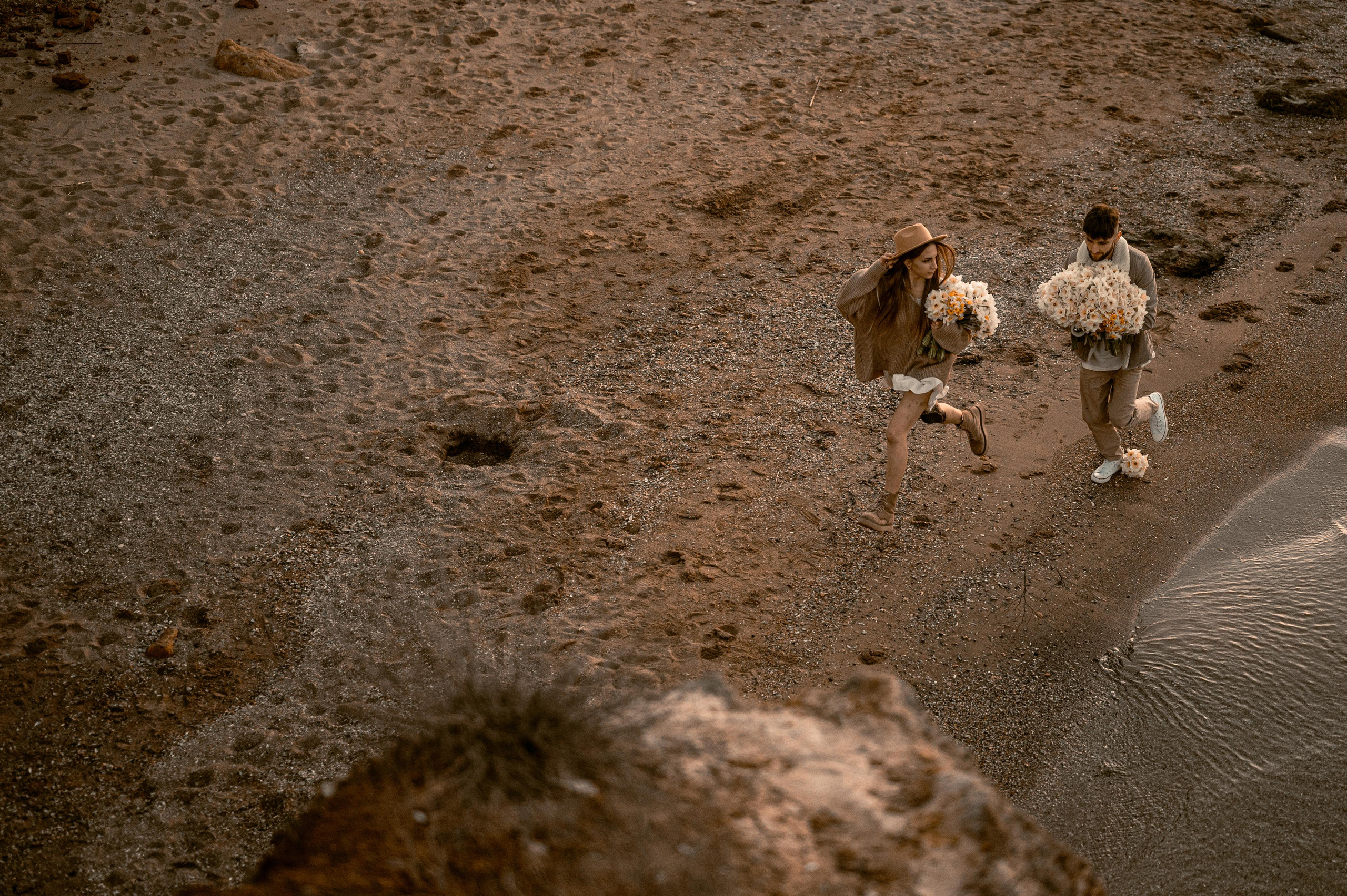 Любовь с нарциссами или рассвет на Фонтанке