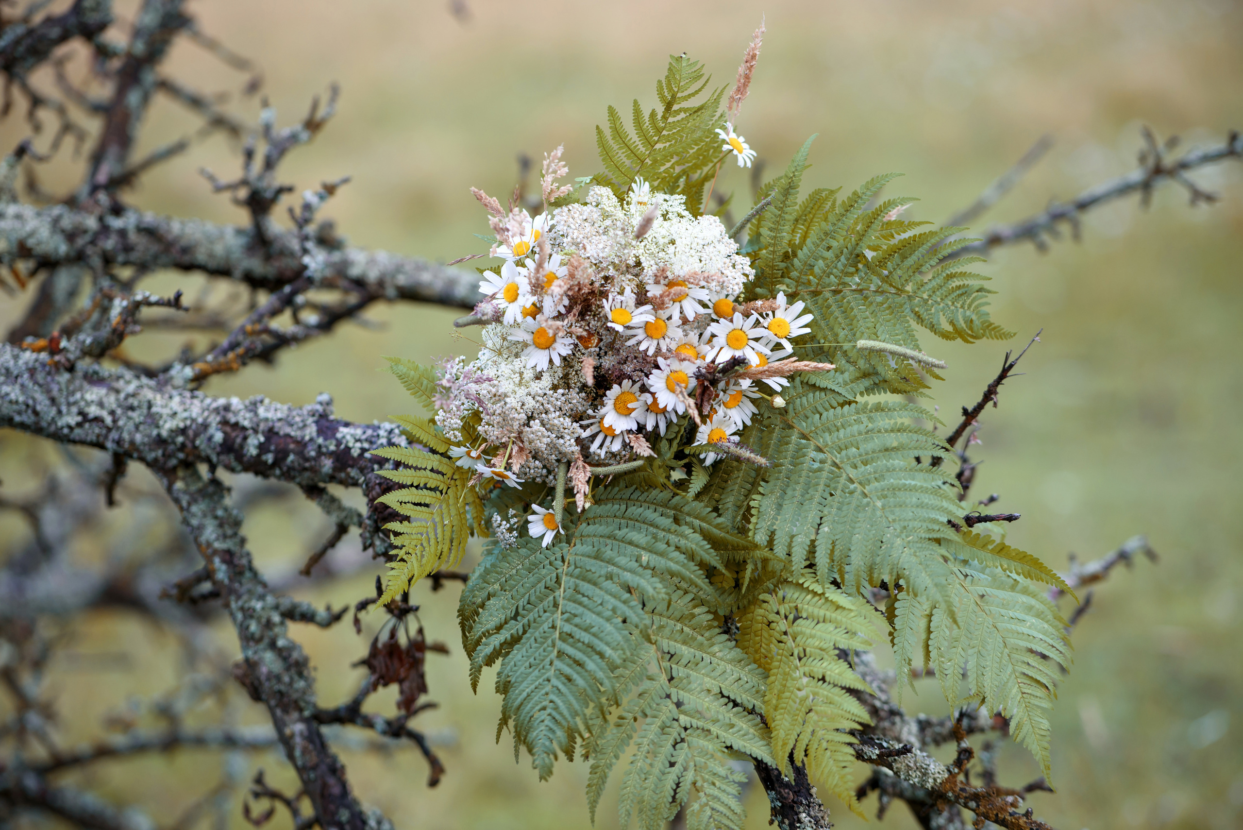 Свадьба в Карпатах. Виктория и Иван