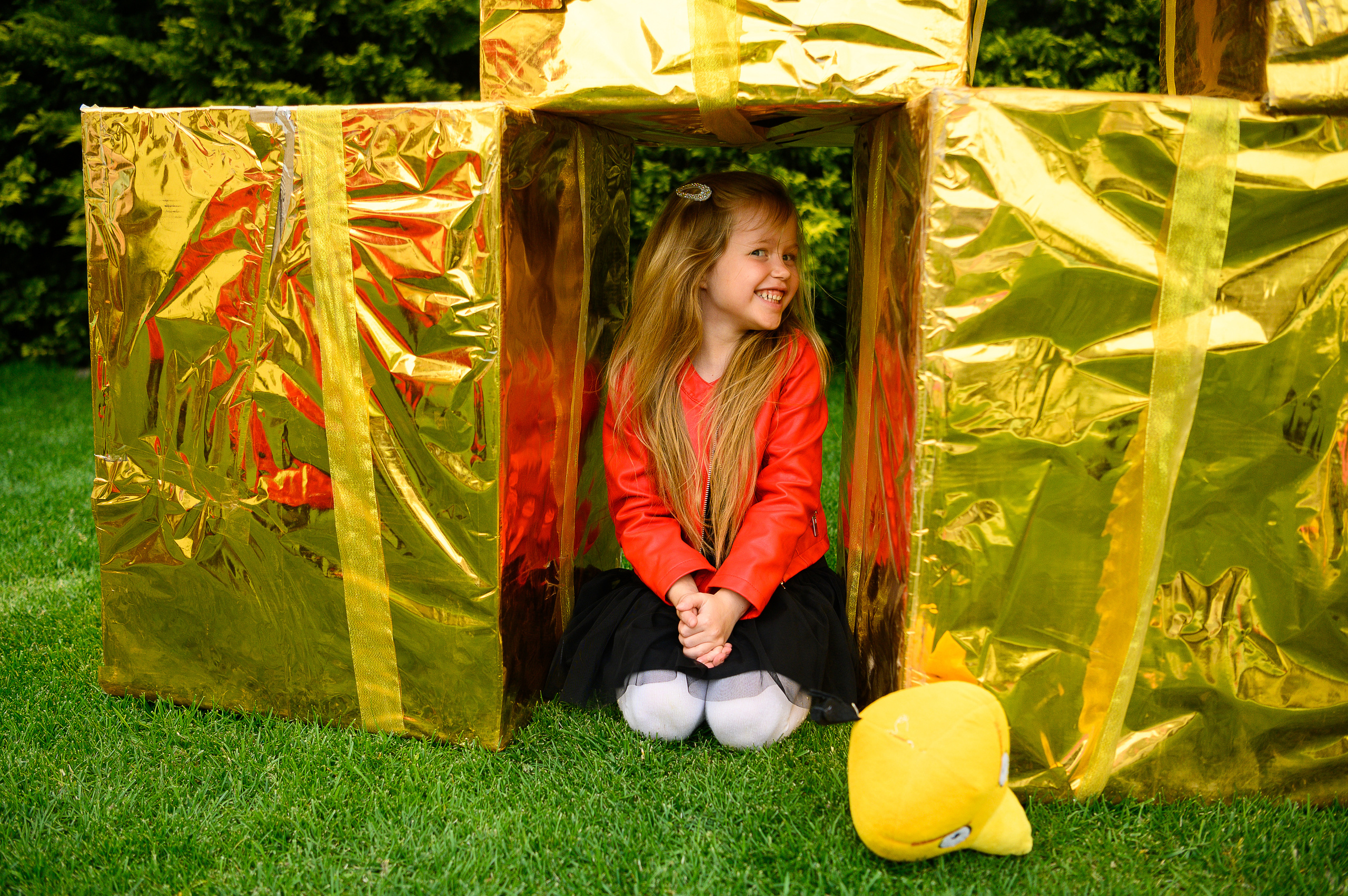 День Рождения Алины