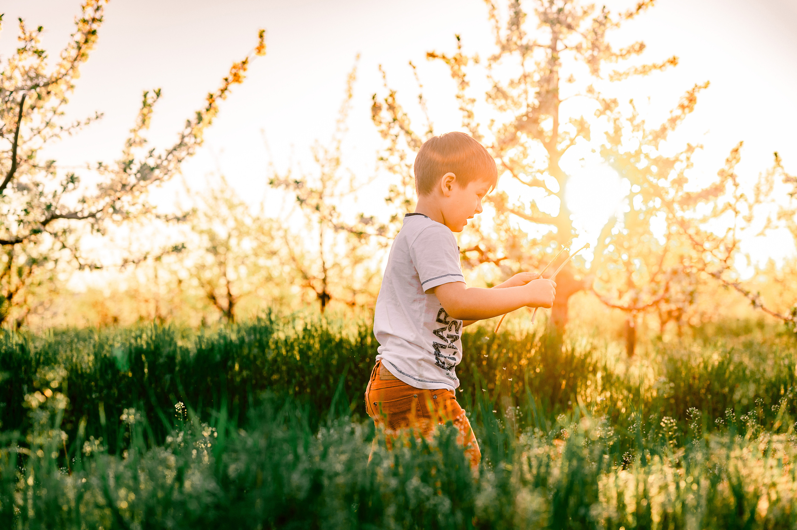 Прогулка по Днестру и саду