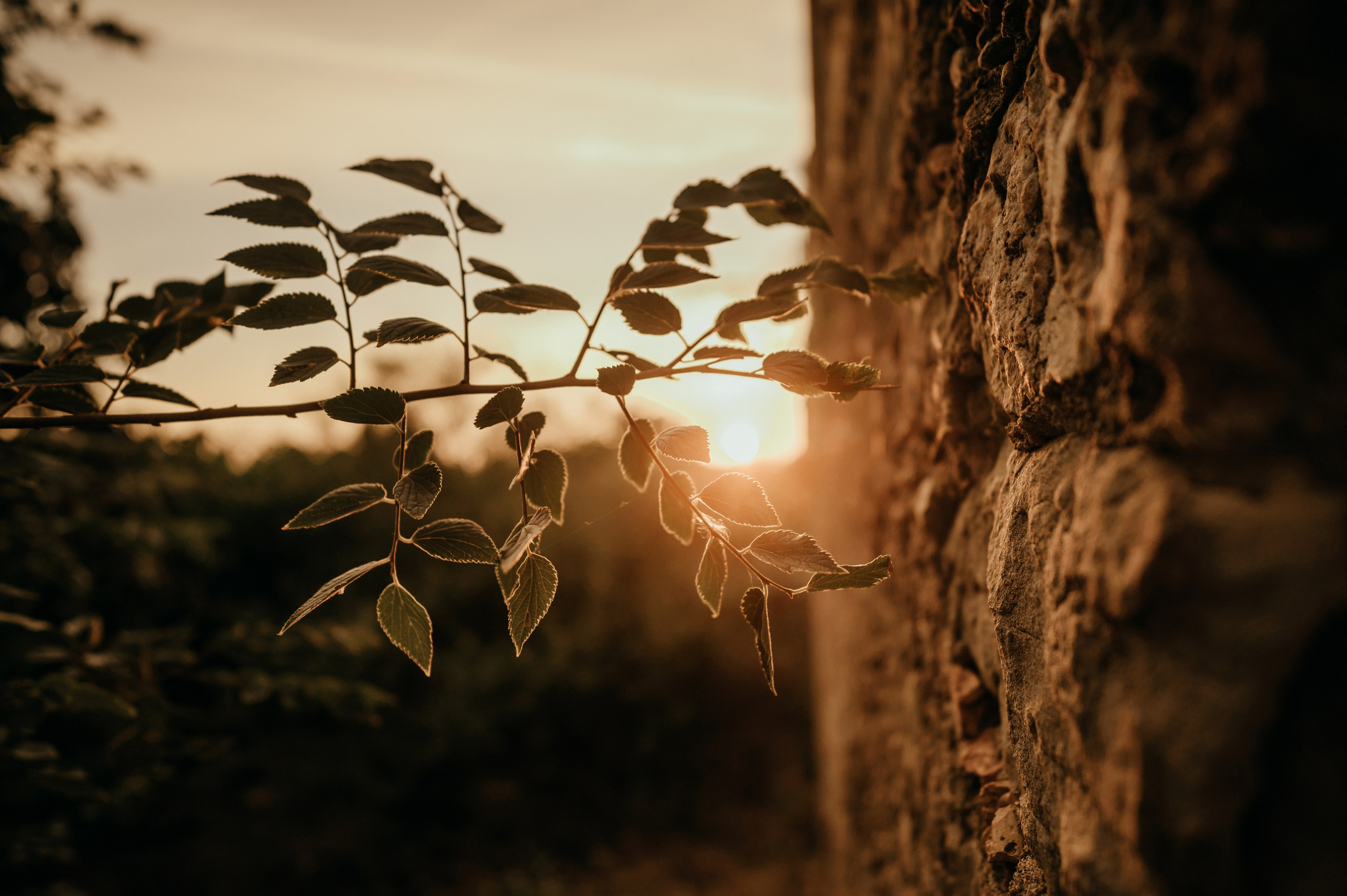 Кристина, акведуки