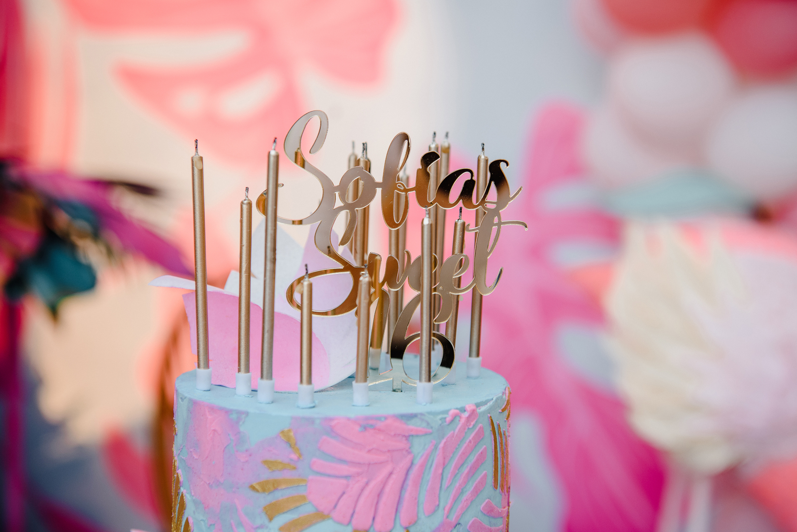 День Рождения Софии 16 лет