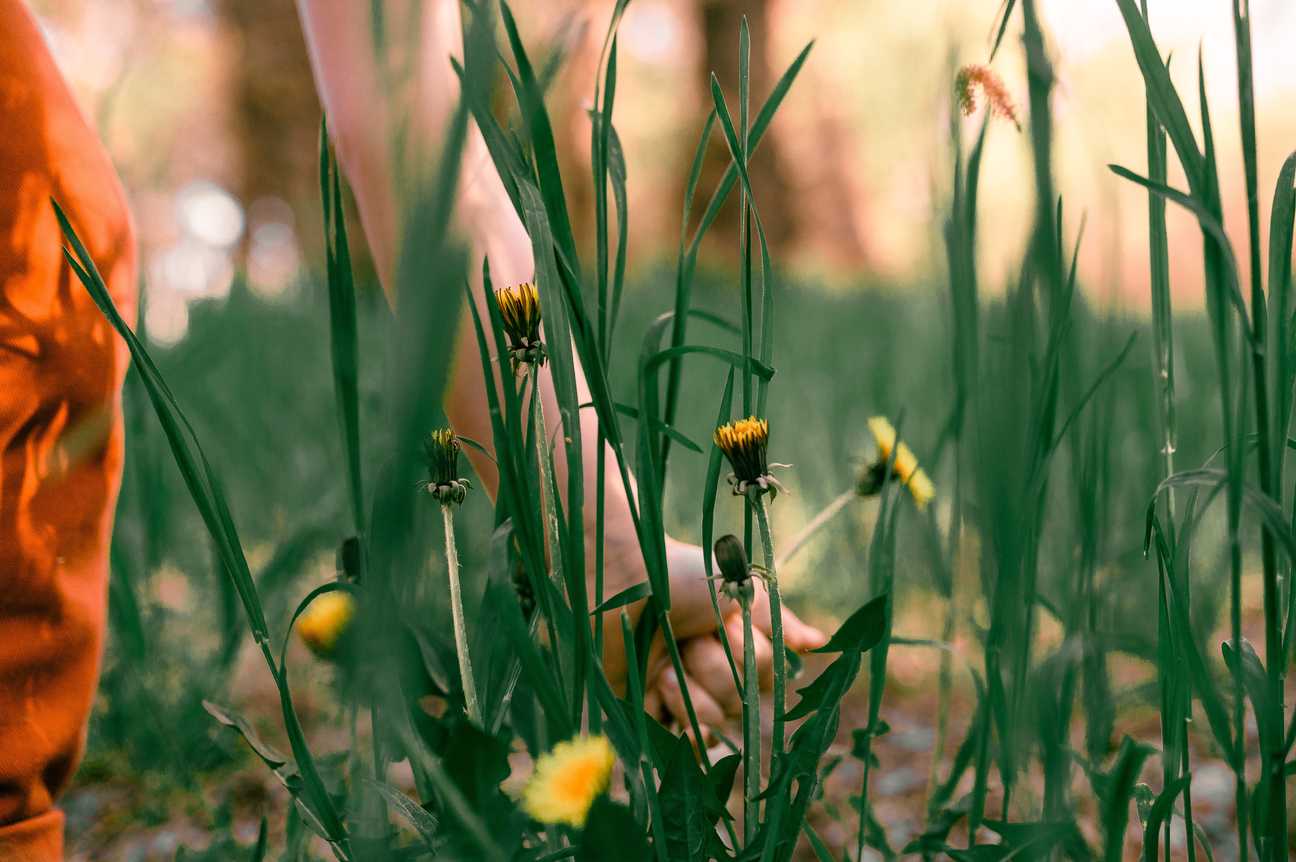 Прогулка по Днестру и саду