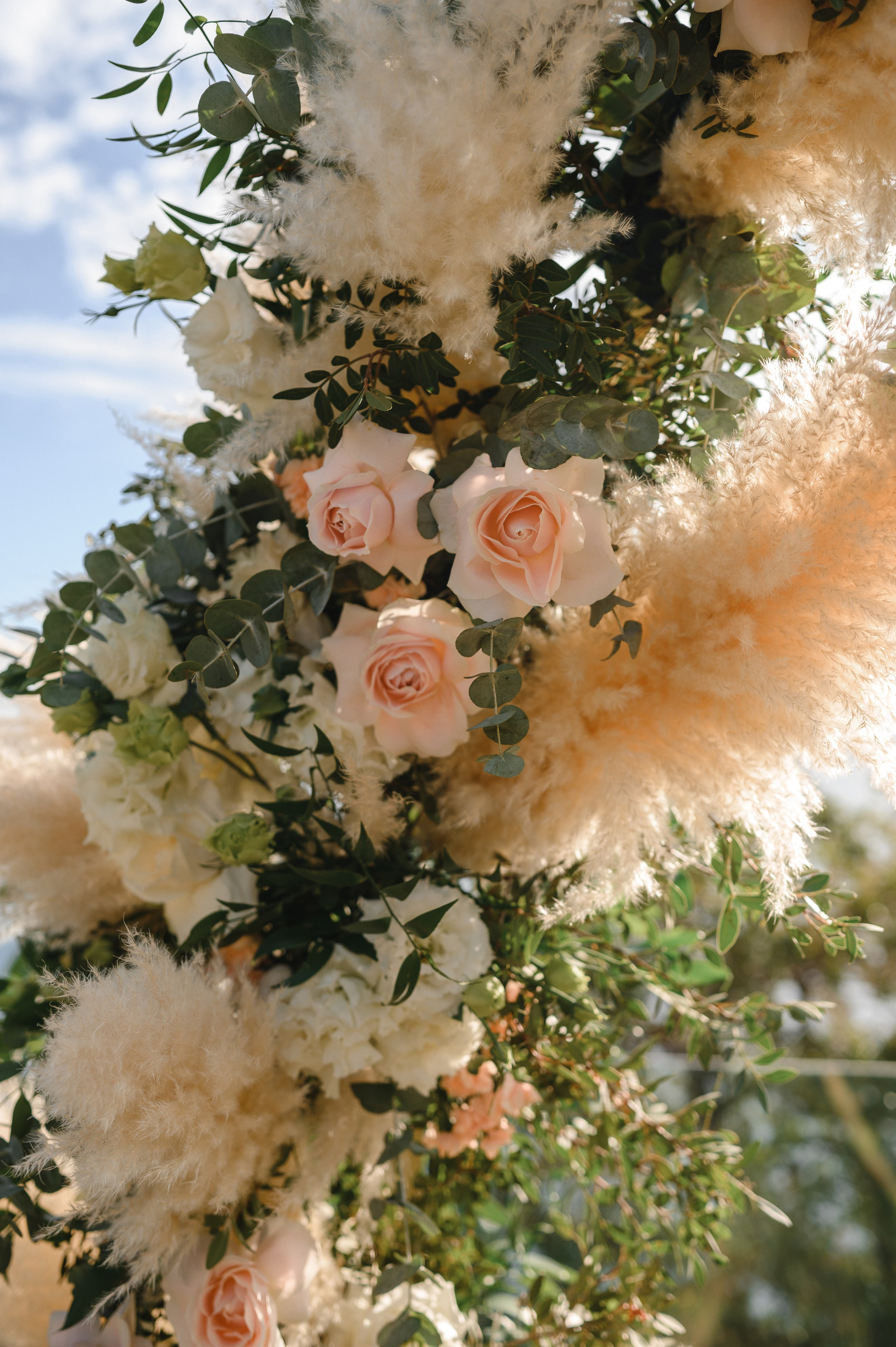 Александр и Алеся