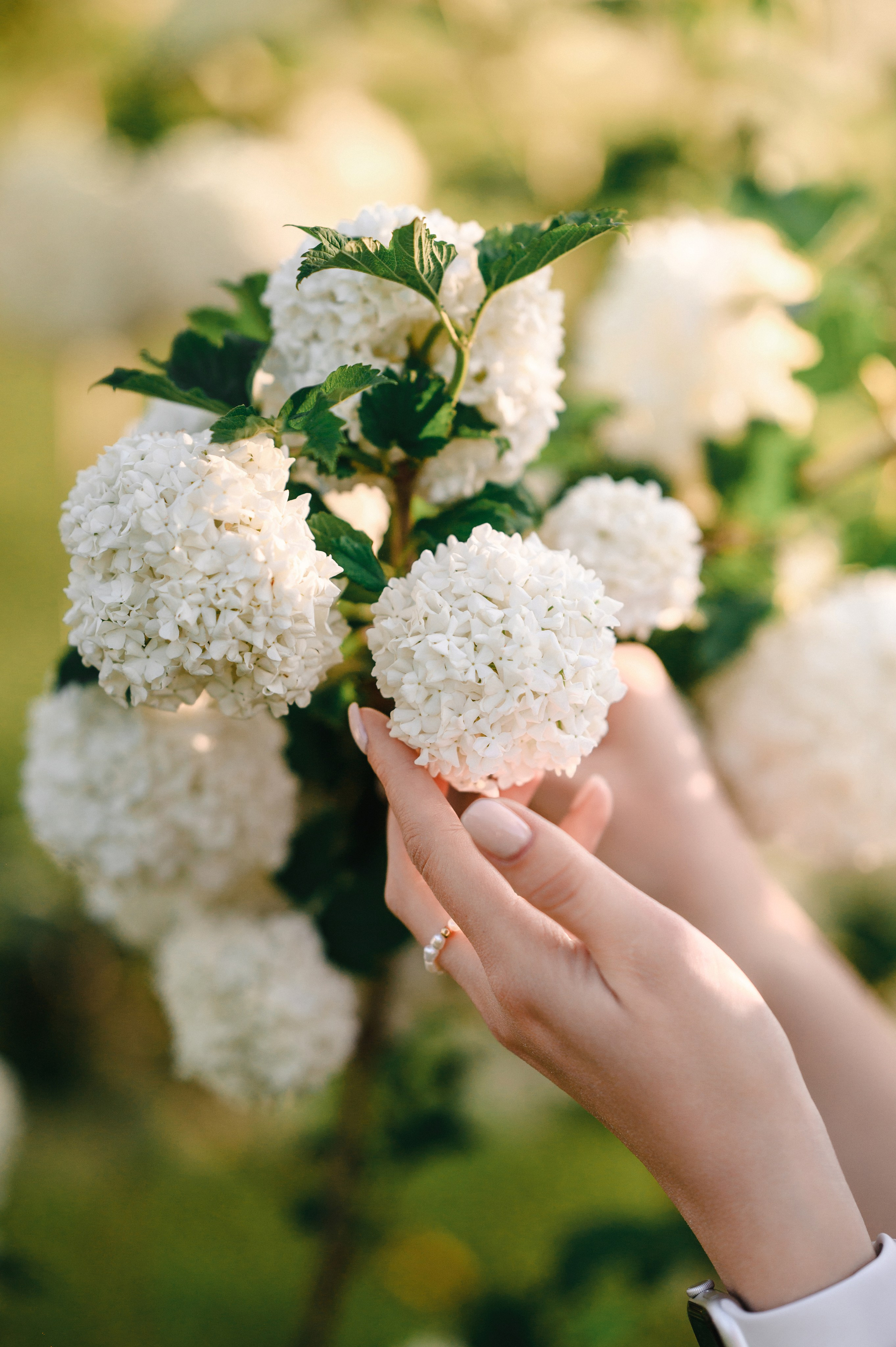 Гендер Пати Женя и Вика в Кишиневе