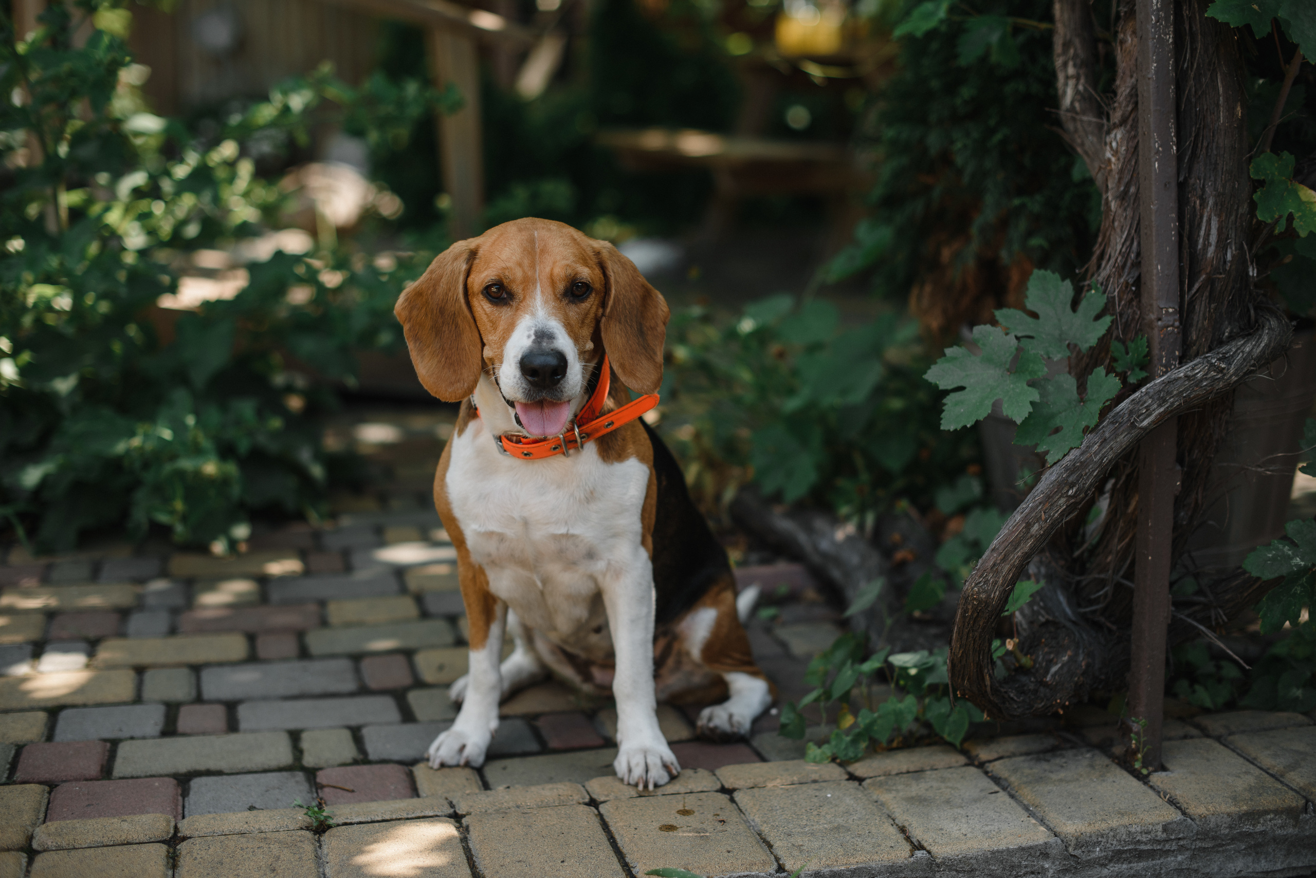 Вова и Юля на даче